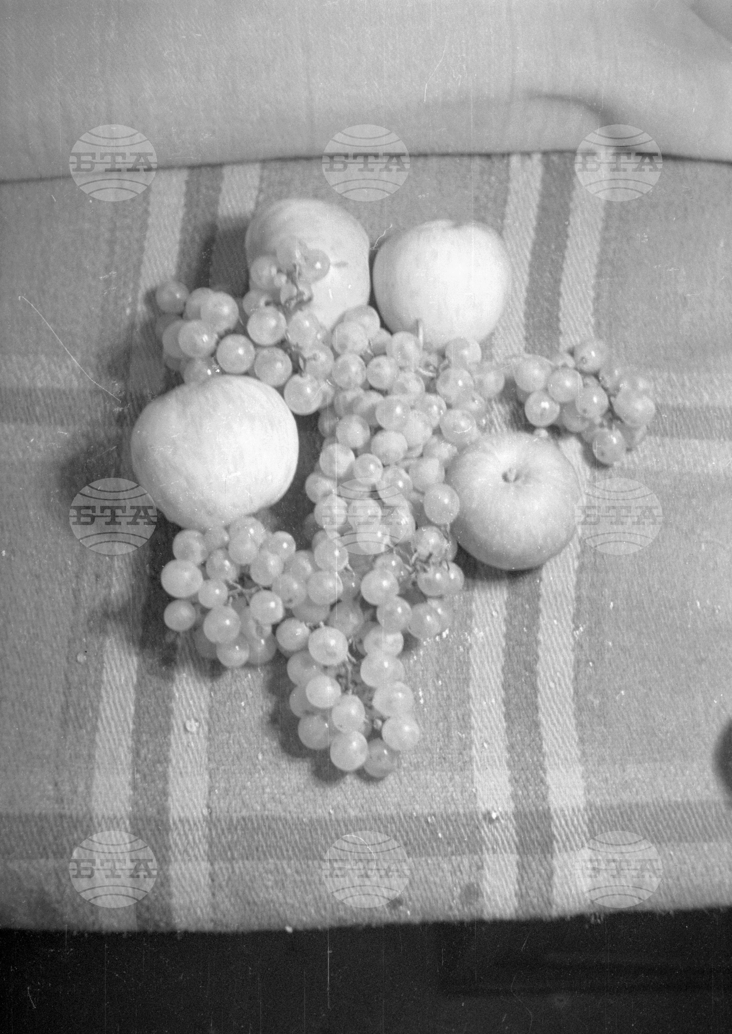 Из Кюстендилски окръг - септември 1962 година