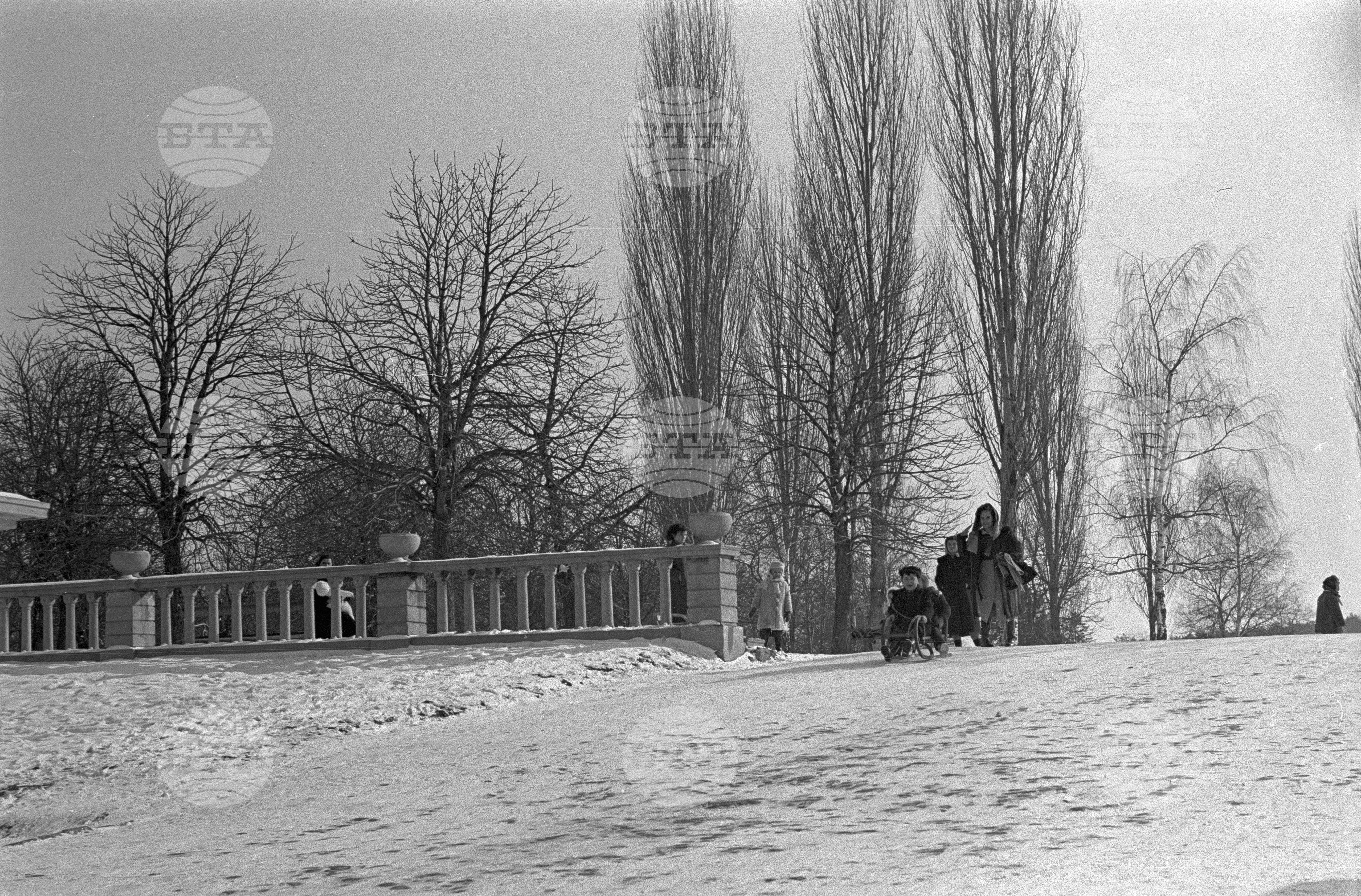 Зимни пейзажи от Парка на свободата в София - 1953 година