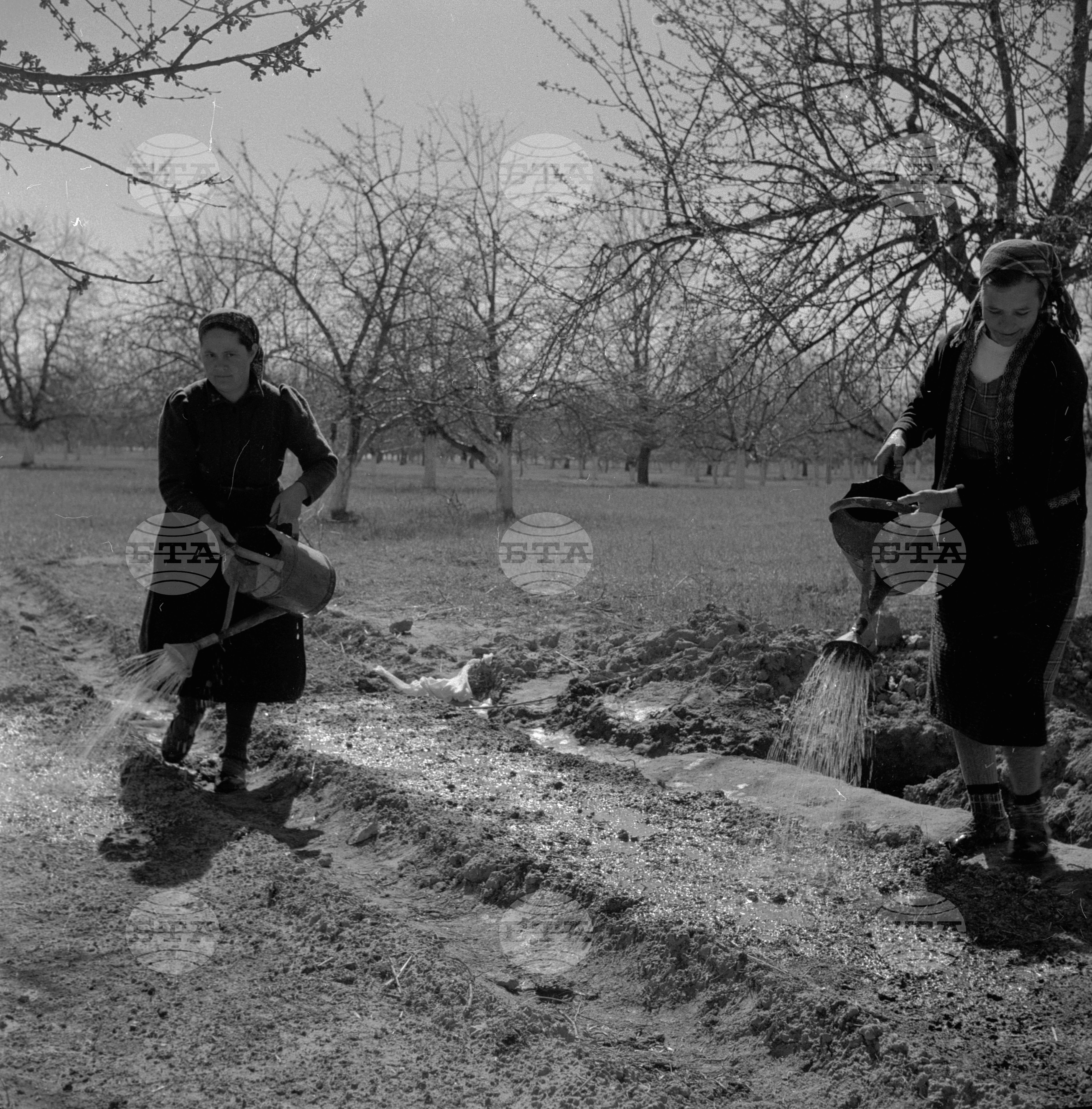 ТКЗС "Благо Кръстев" - село Динката, Пазарджишки окръг