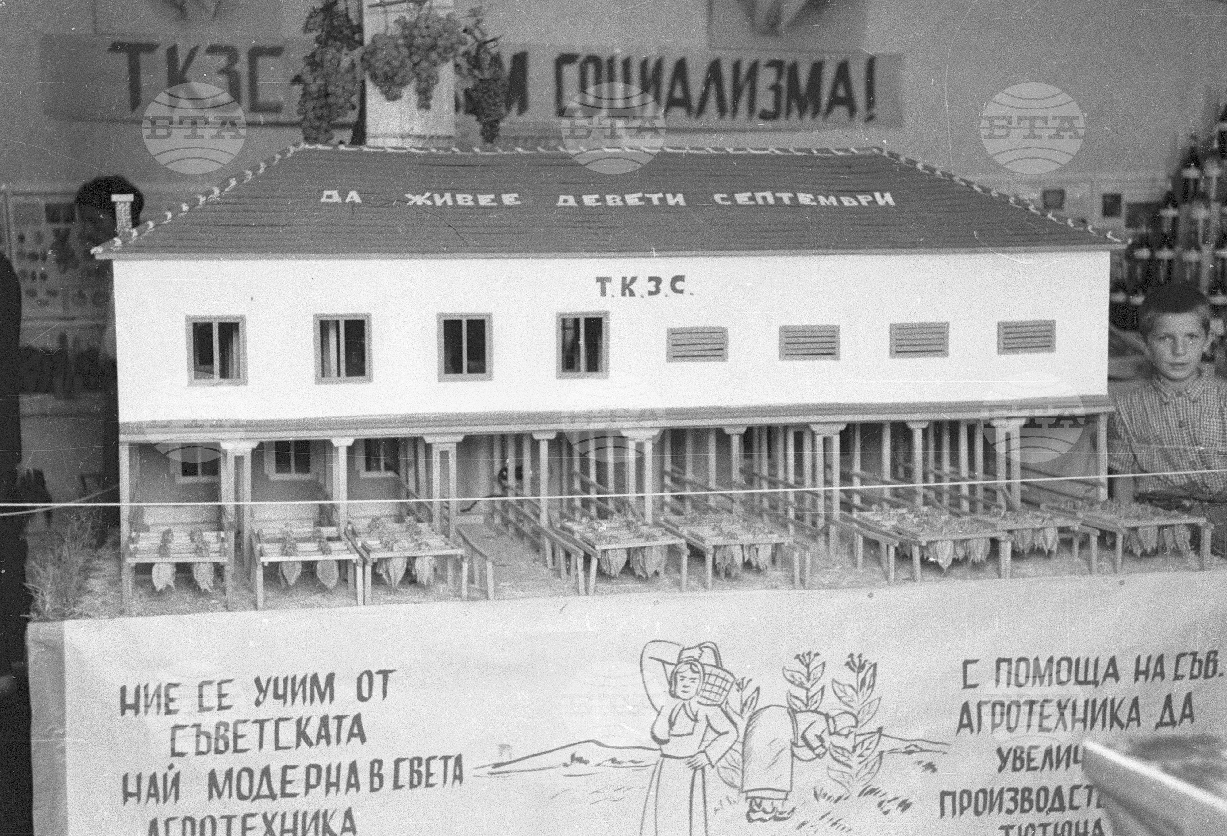 Откриване на гимназията в Перущица, 1951