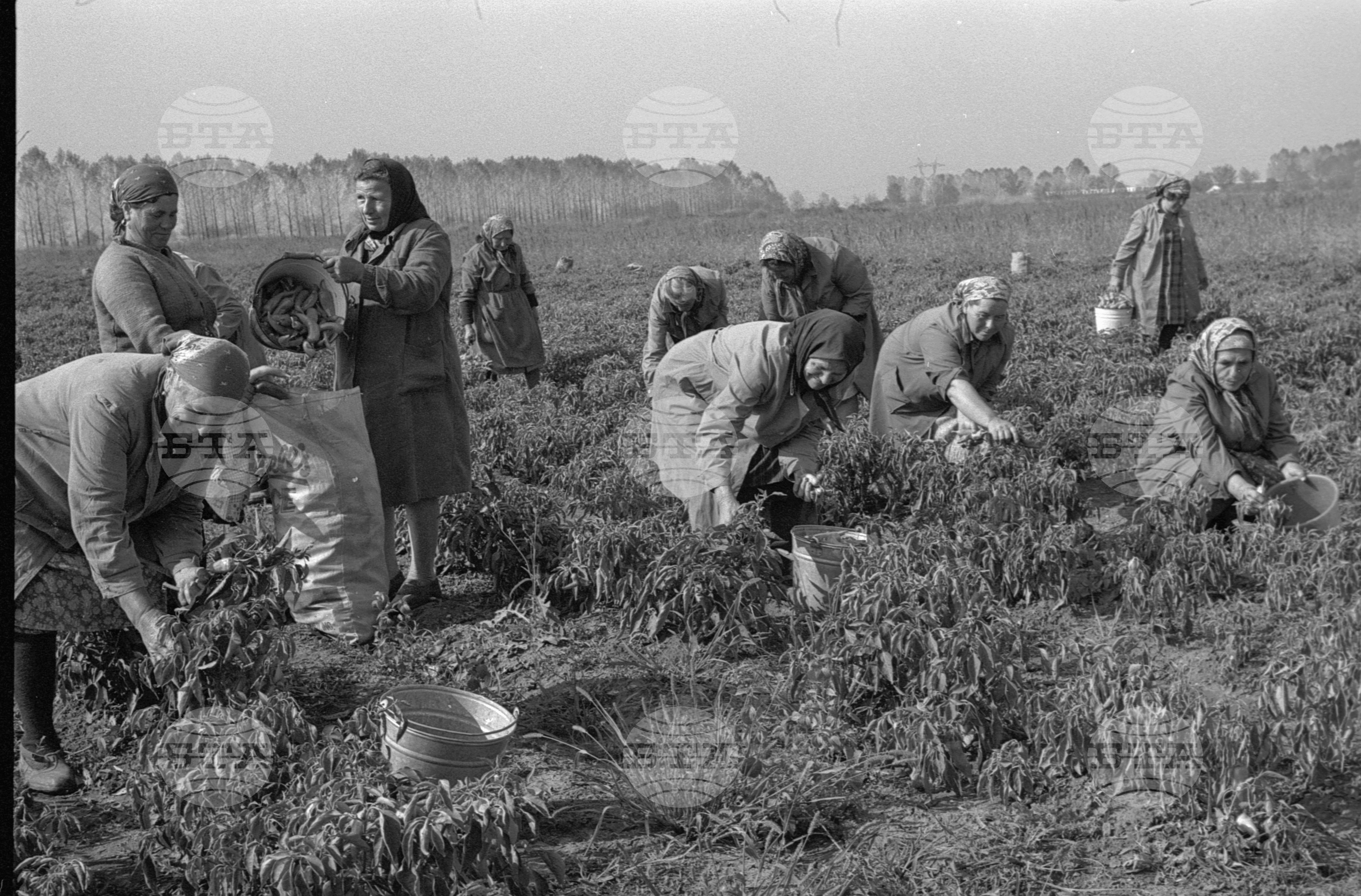 Аграрно-промишлен комплекс (АПК) "Средец" - Нови Искър