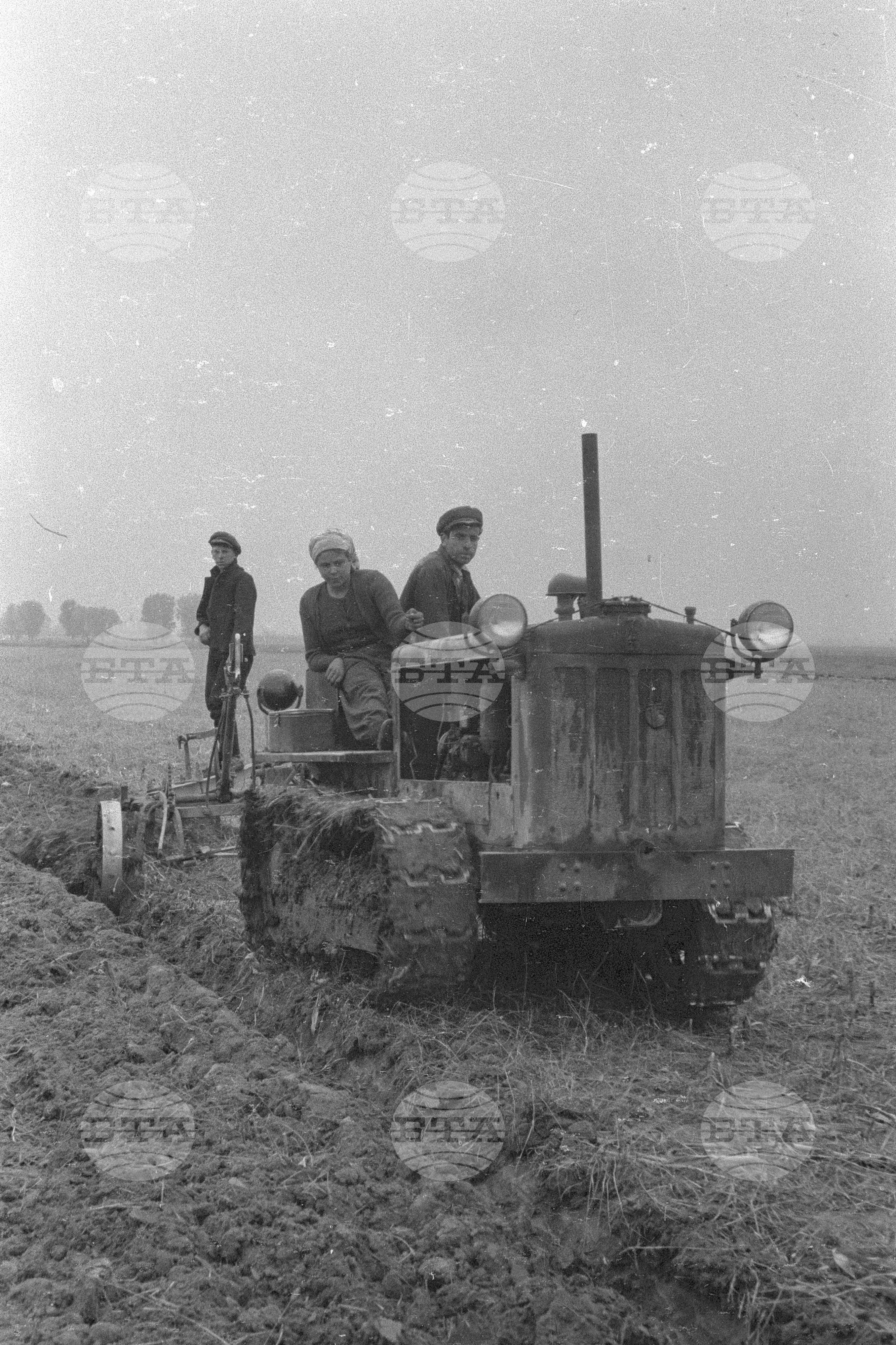 Трудово кооперативно земеделско сдружение (ТКЗС) Сухозем, 1951