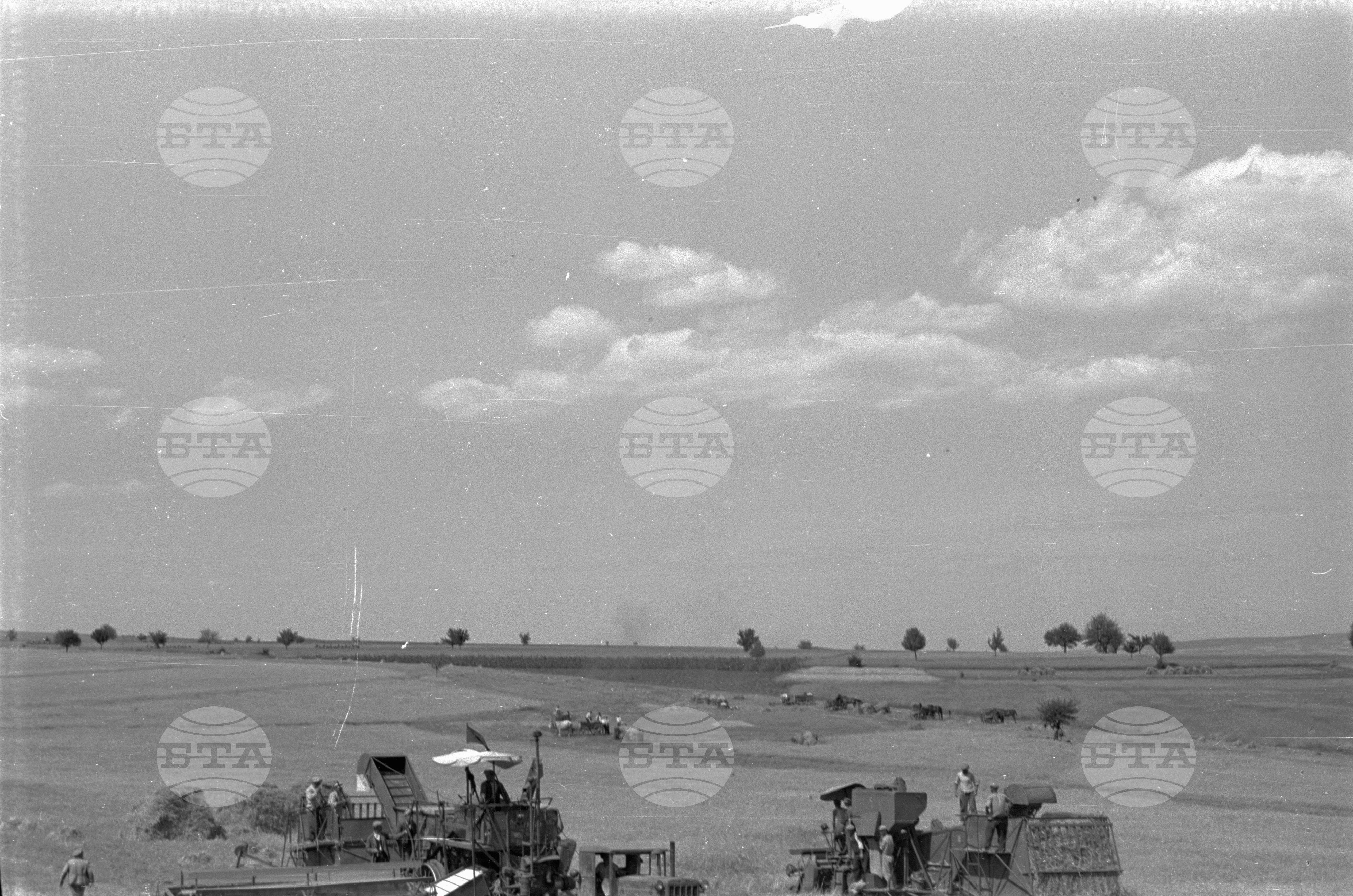 В земеделските блокове на село Полско косово - Бяла