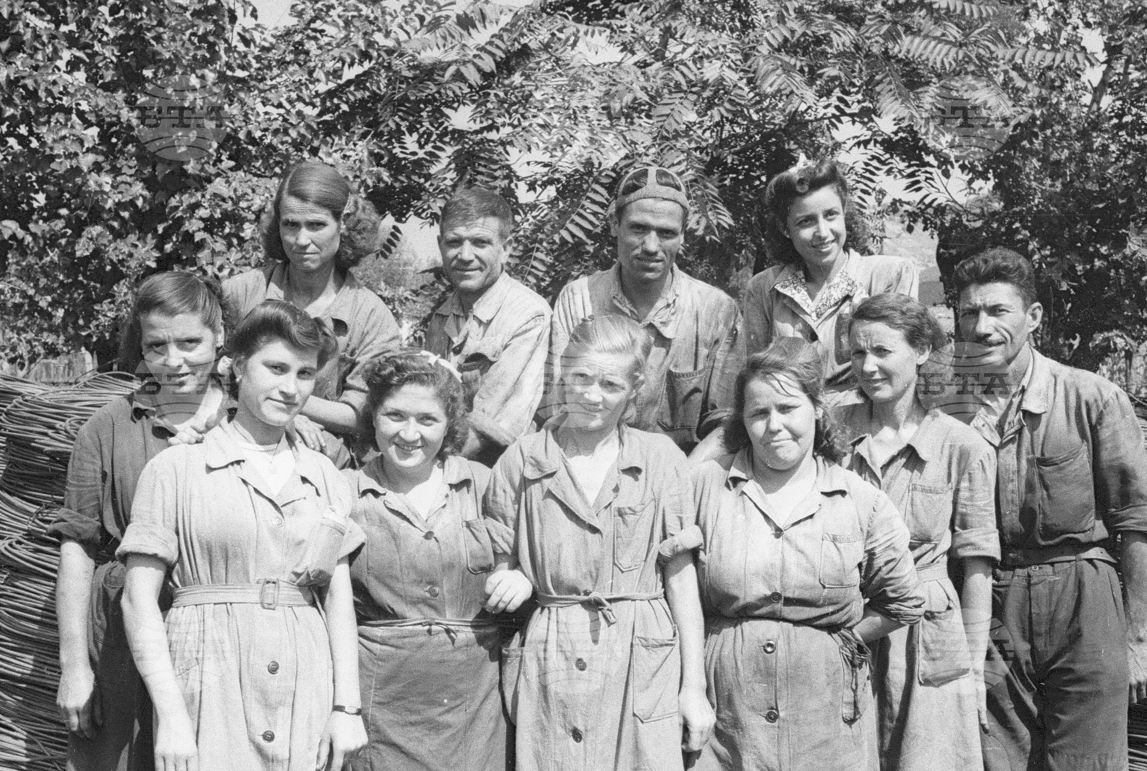 Архив - Българска телеграфна агенция (БТА), 1951