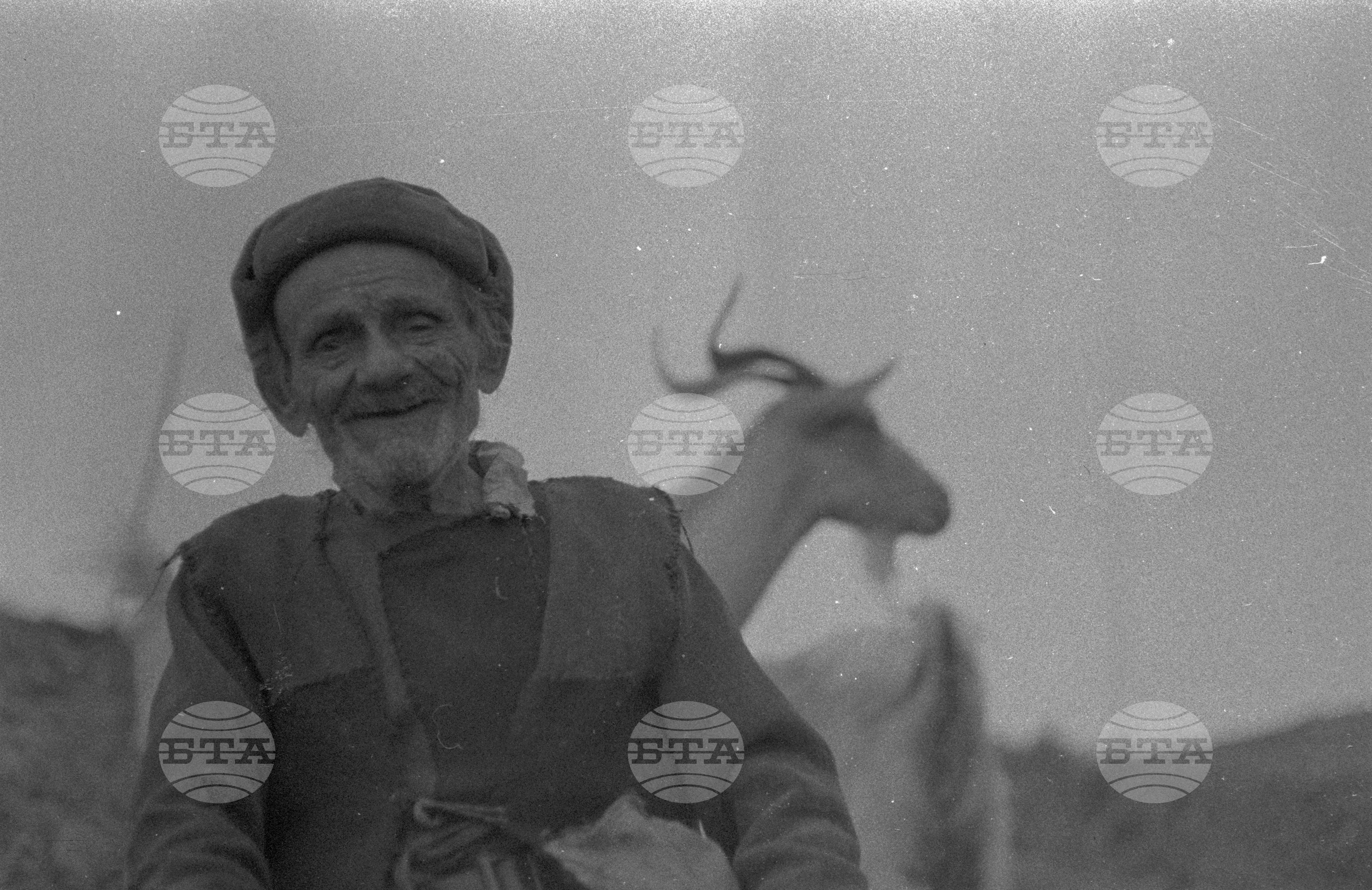 Огражден планина