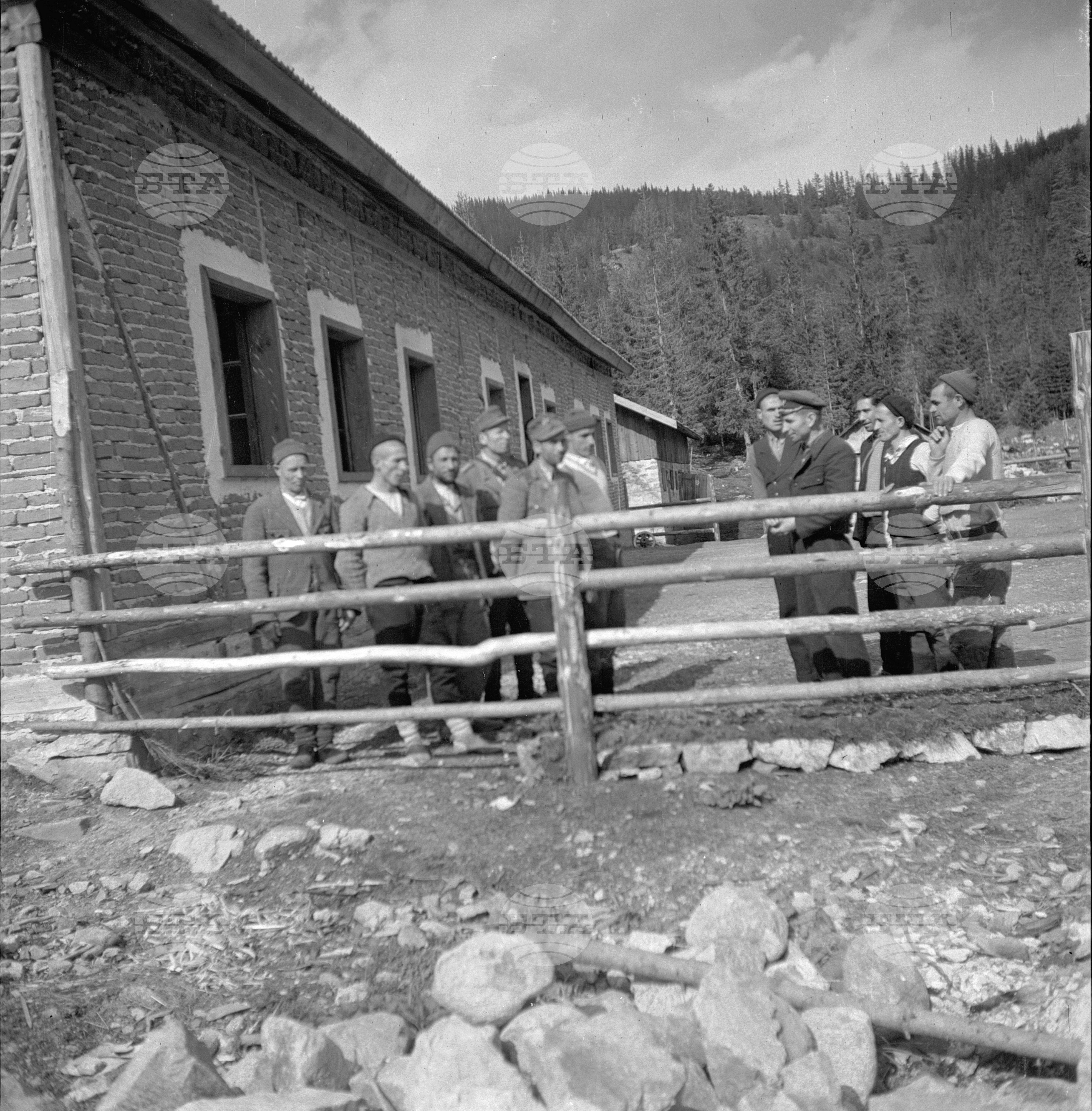 Дърводобив в държавни горски стопанства, 1951 - част 3