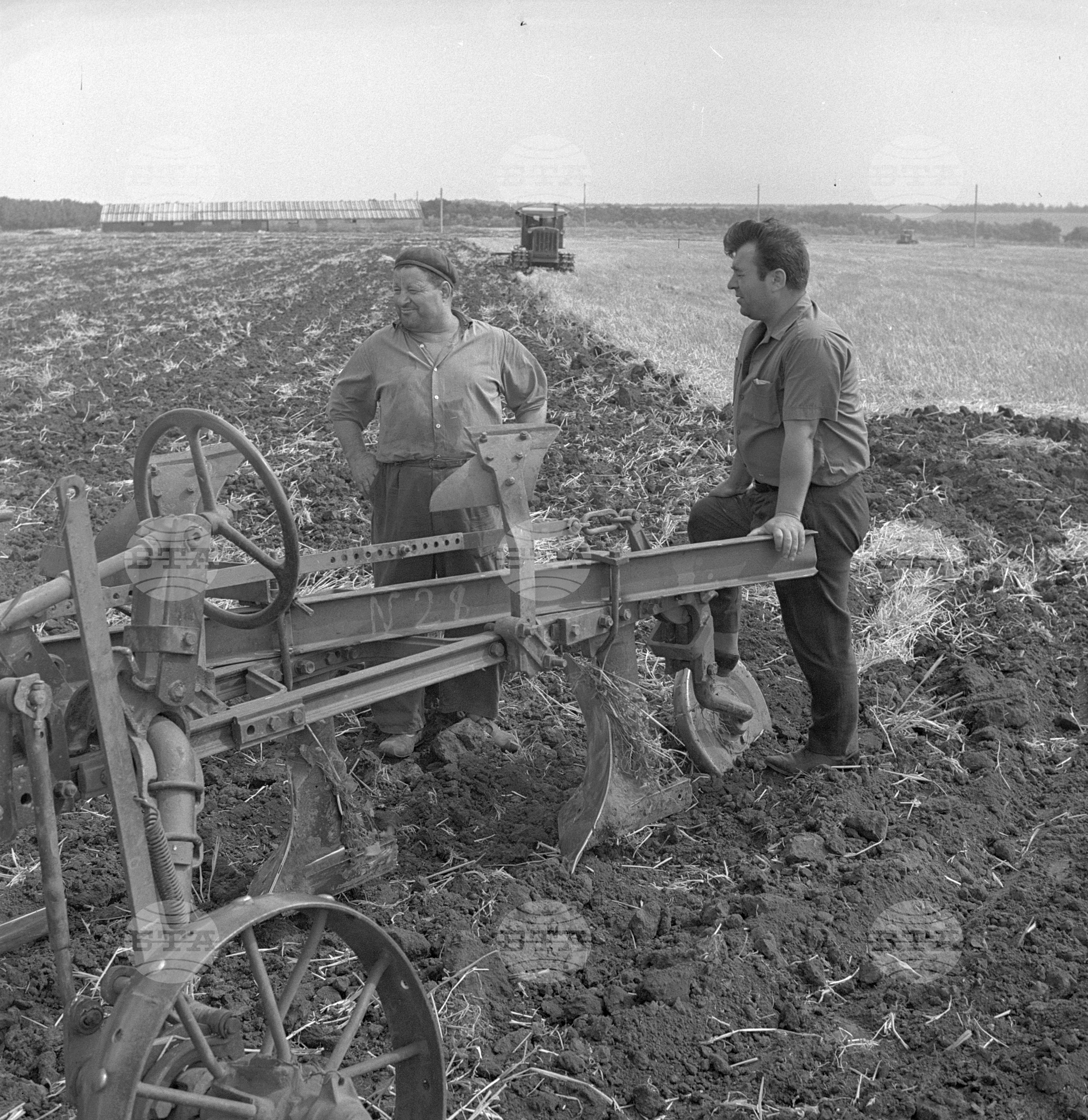 ТКЗС (Трудовото кооперативно земеделско стопанство) село Дуранкулак, Толбухински окръг (днес Добрич)