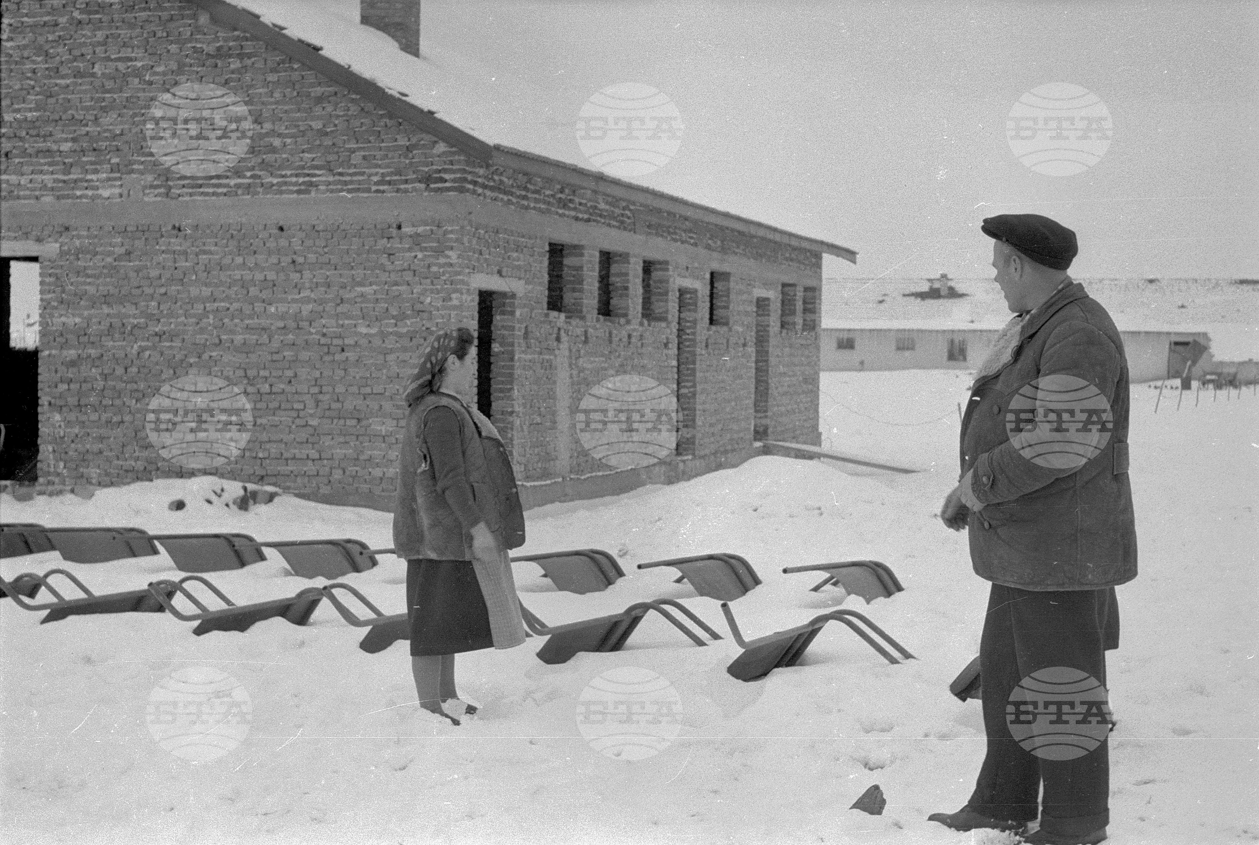Овчарите от ТКЗС (Трудово кооперативно земеделско стопанство) кв. "Бенковски" - София