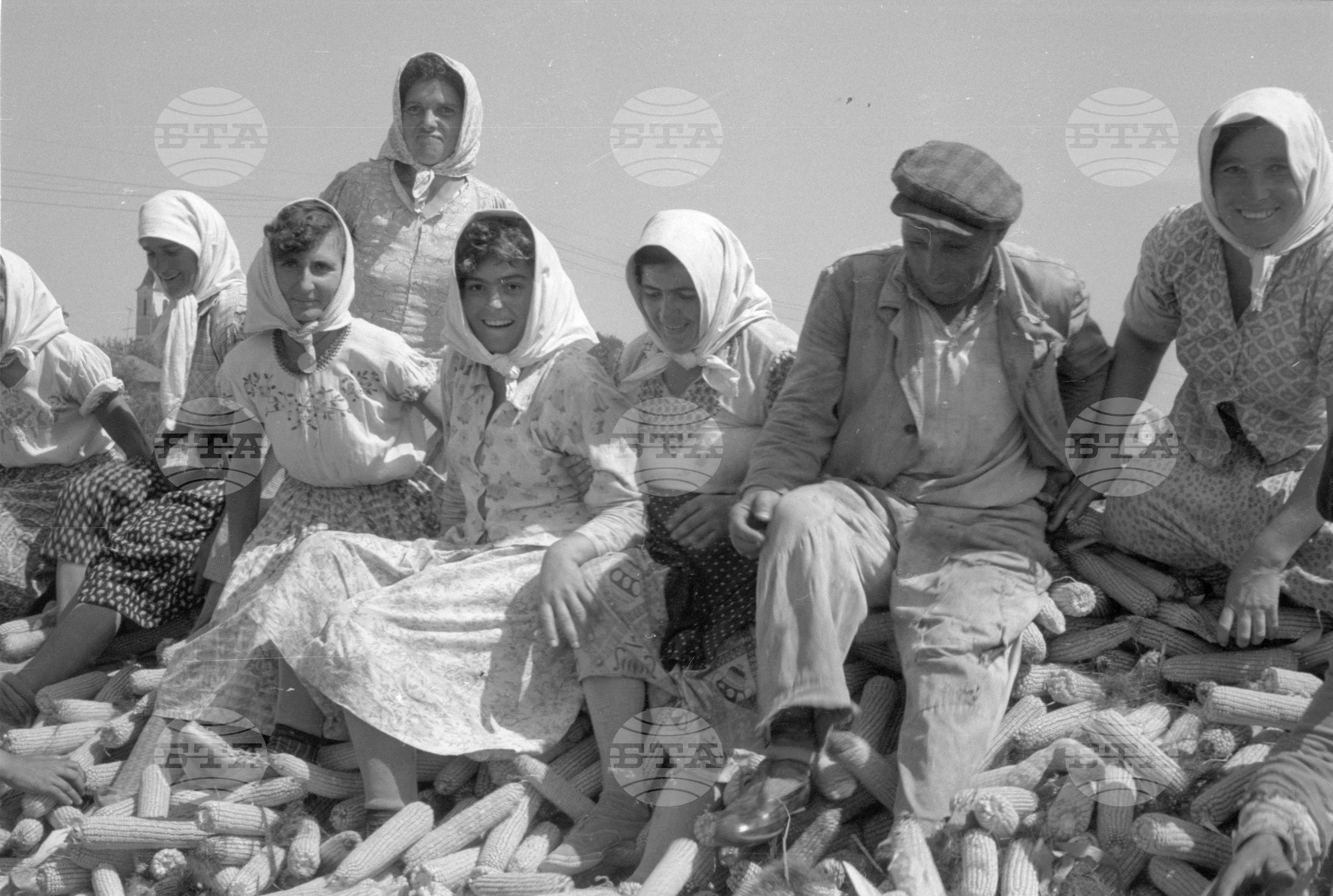 ТКЗС (Трудово кооперативно земеделско стопанство) във Видин - 1963