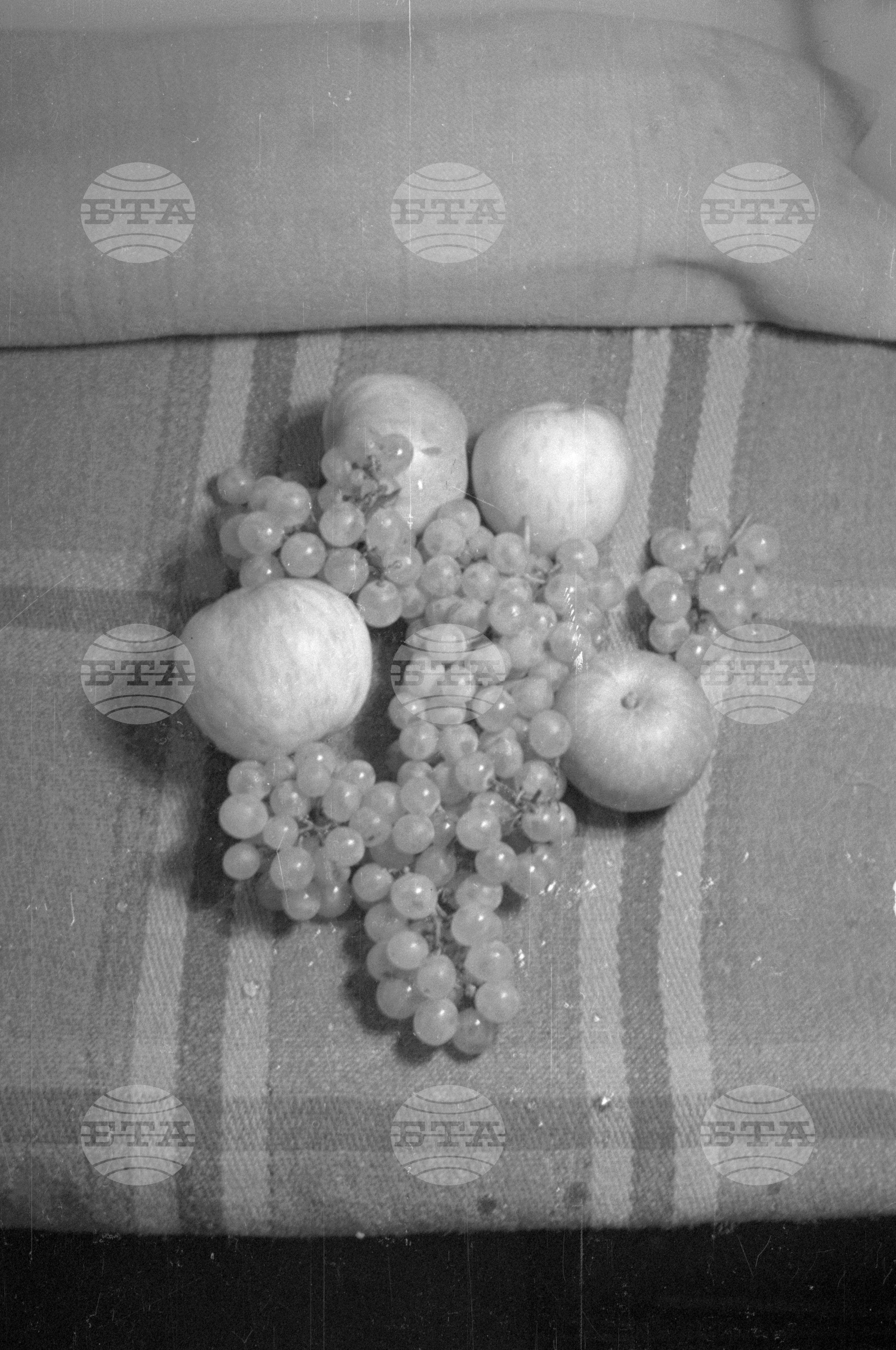 Из Кюстендилски окръг - септември 1962 година