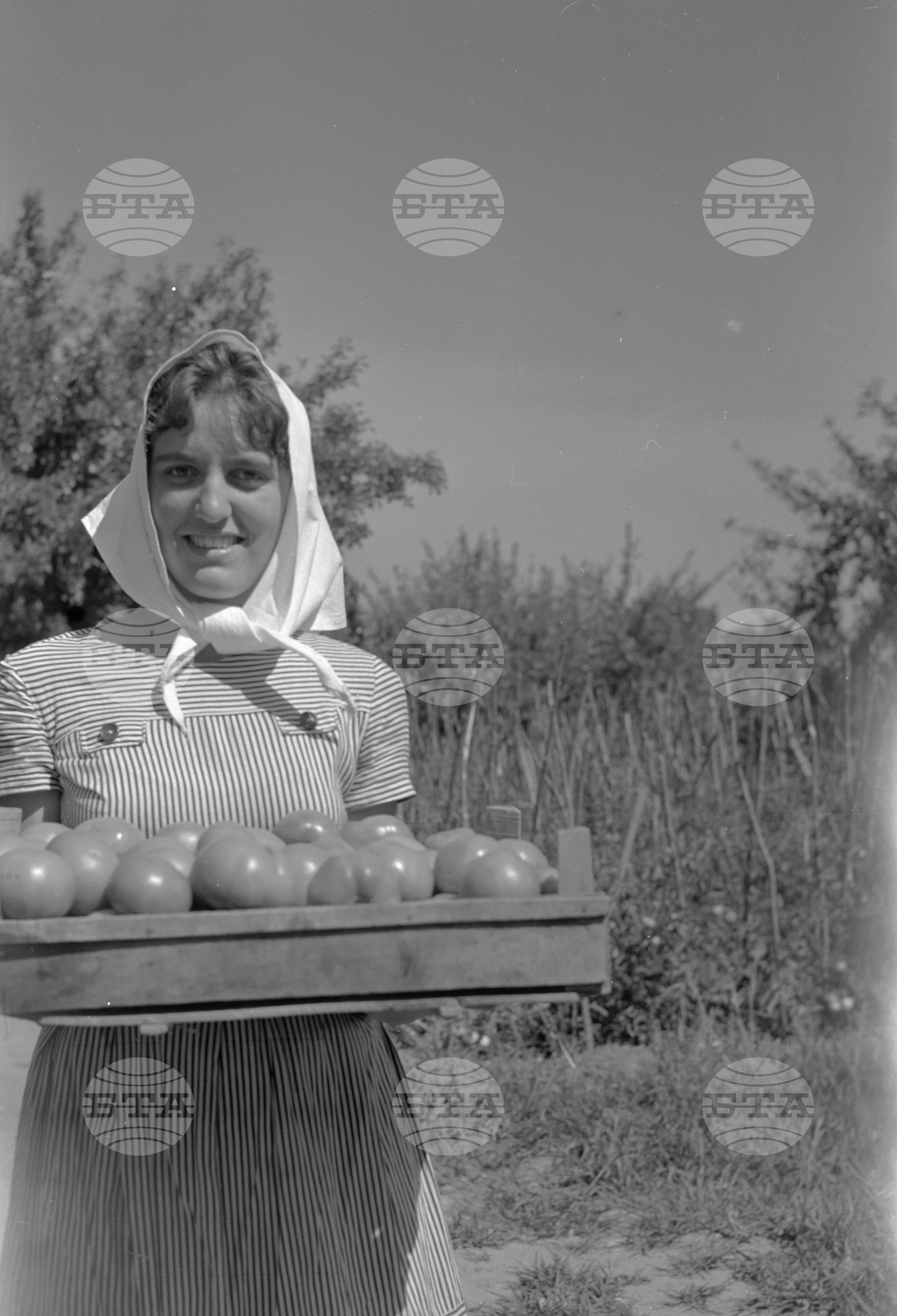 Из Кюстендилски окръг - юли 1962 година част 2