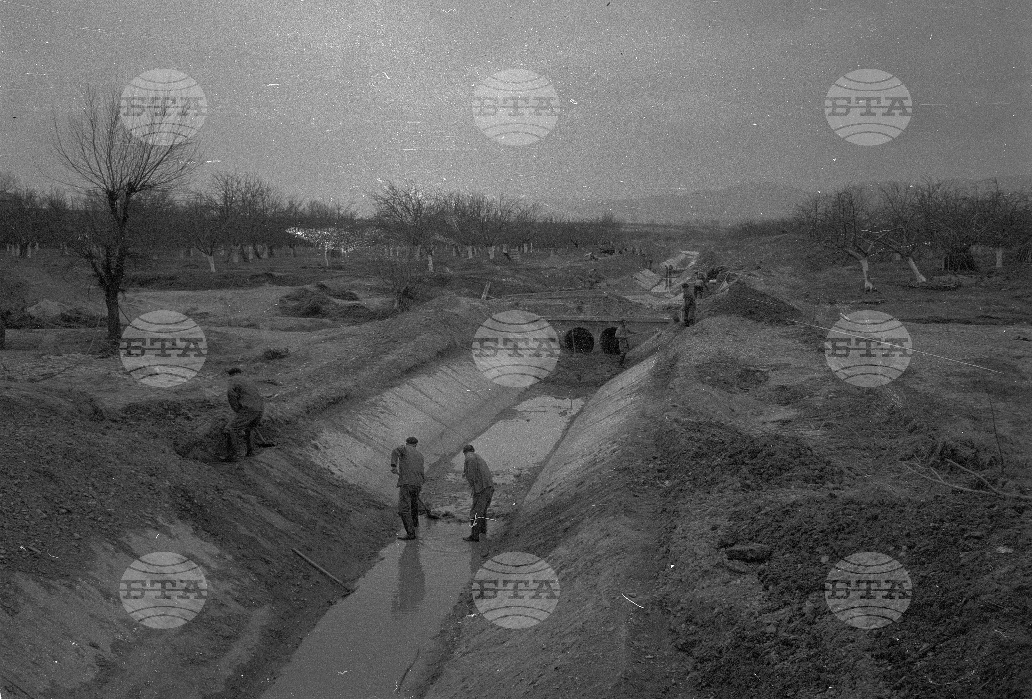 ТКЗС (Трудово-кооперативно земеделско стопанство) "Камчийска долина" - Карлово
