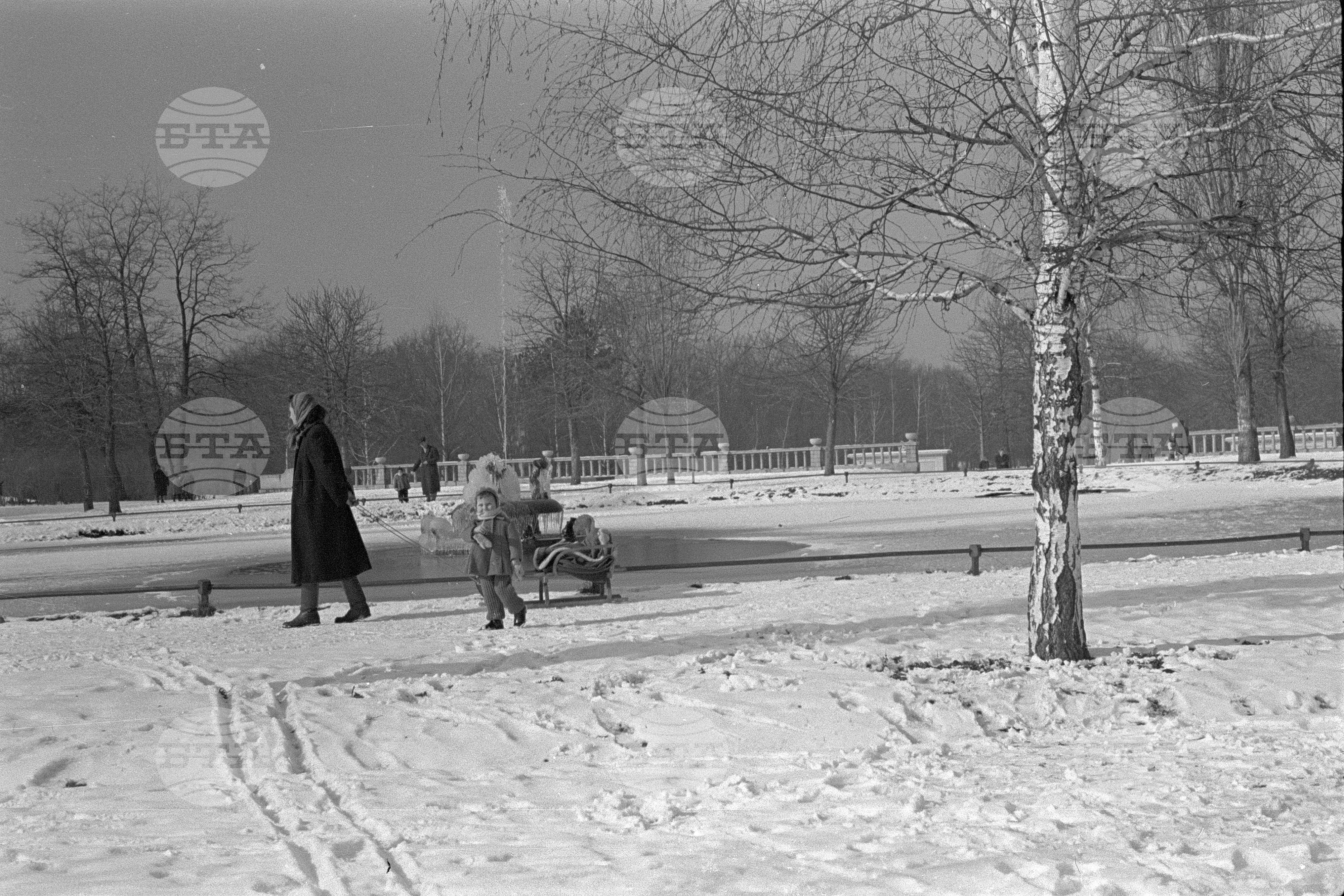 Зимни пейзажи от Парка на свободата в София - 1953 година