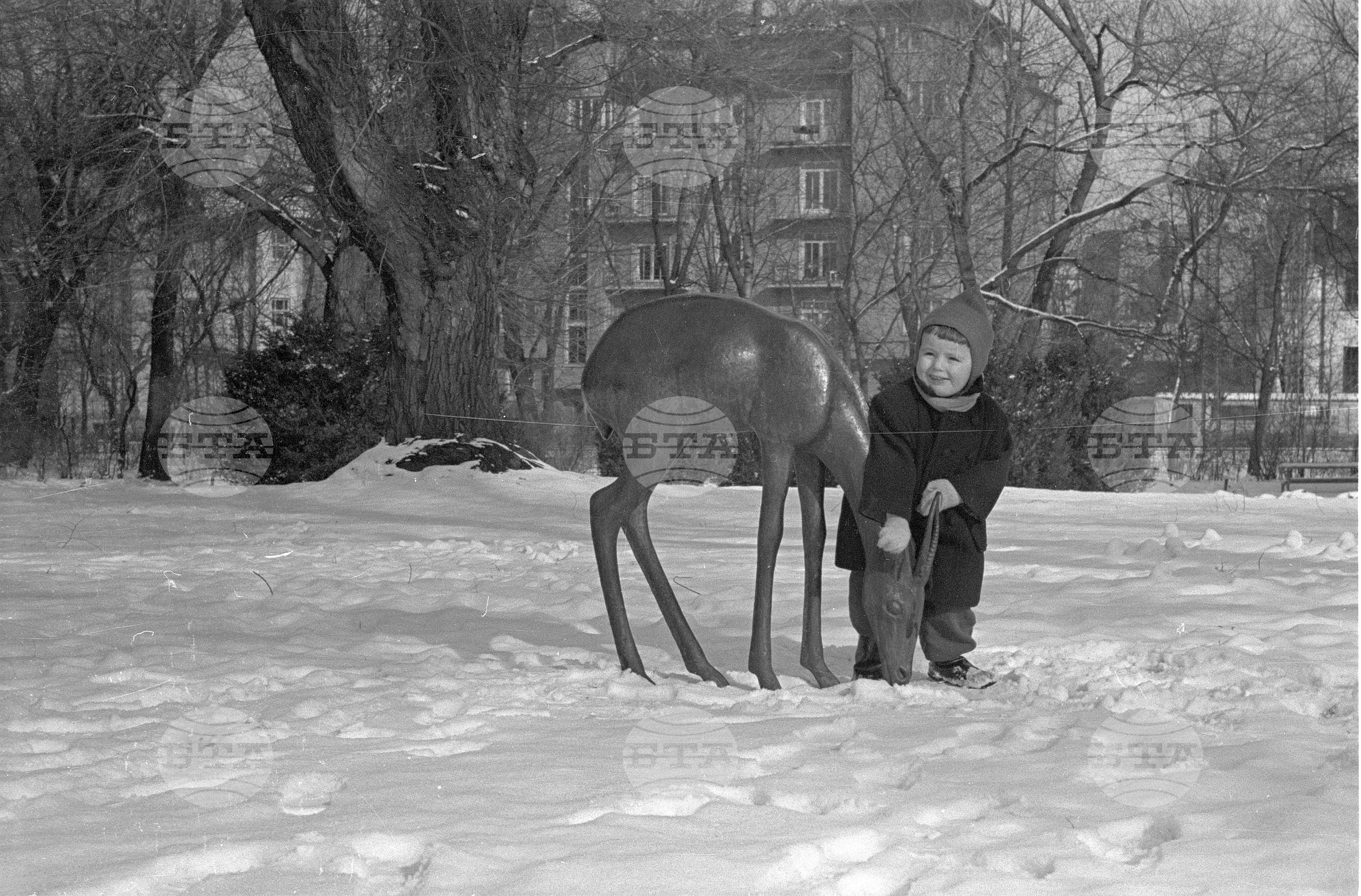 Зимни пейзажи от Парка на свободата в София - 1953 година