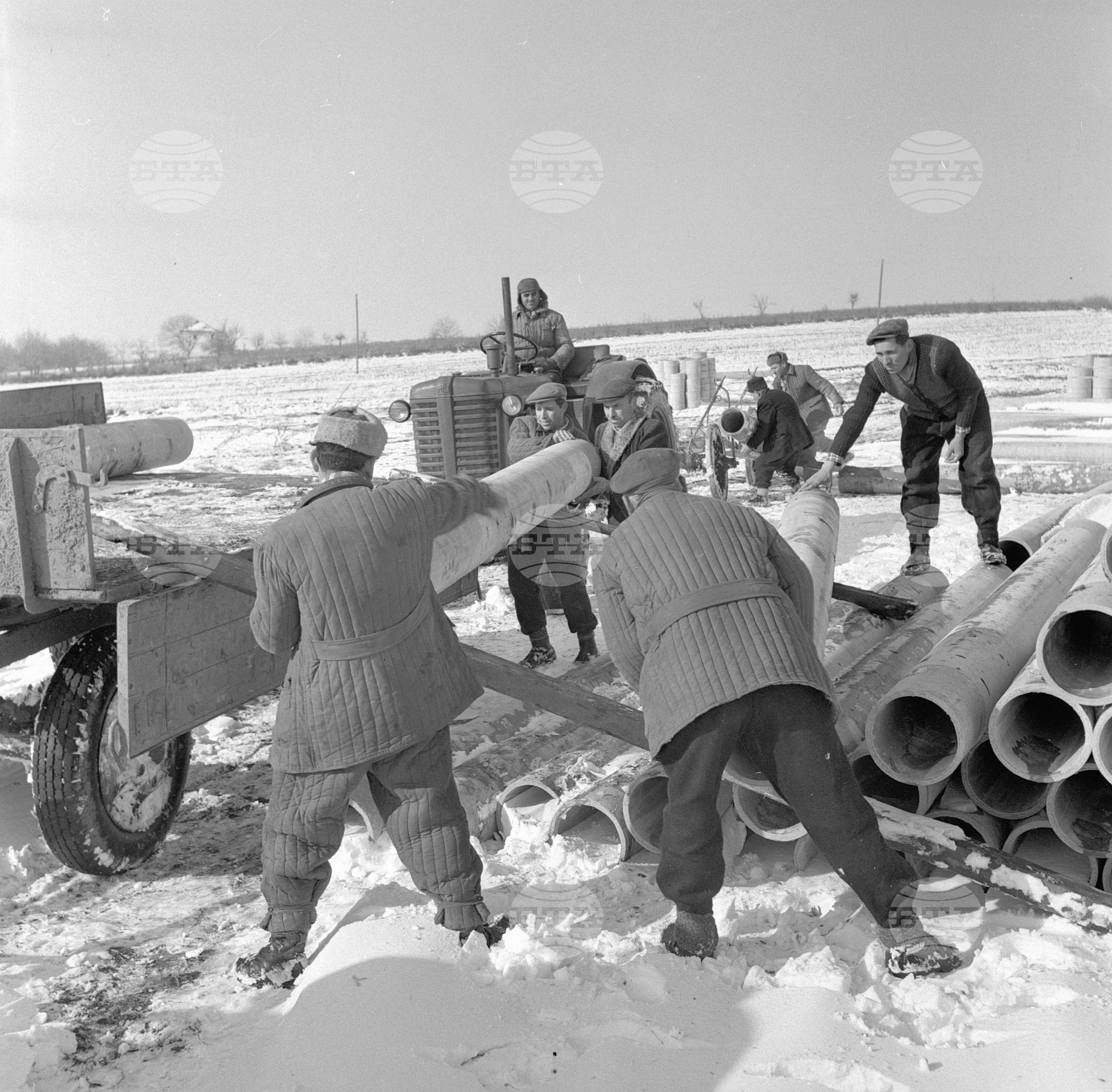 Из Видински окръг - декември 1962 година