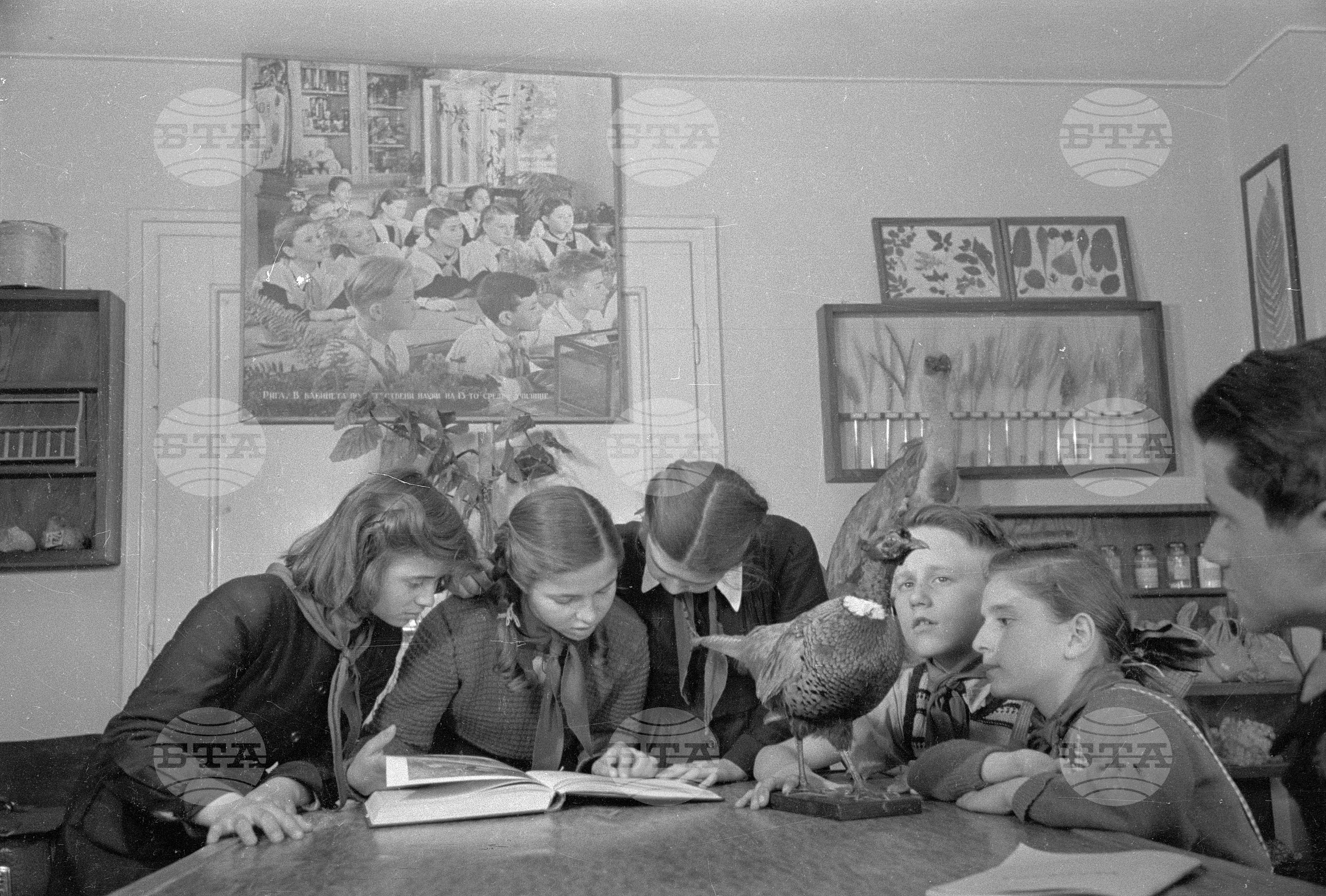 Пионерски дом в Пловдив