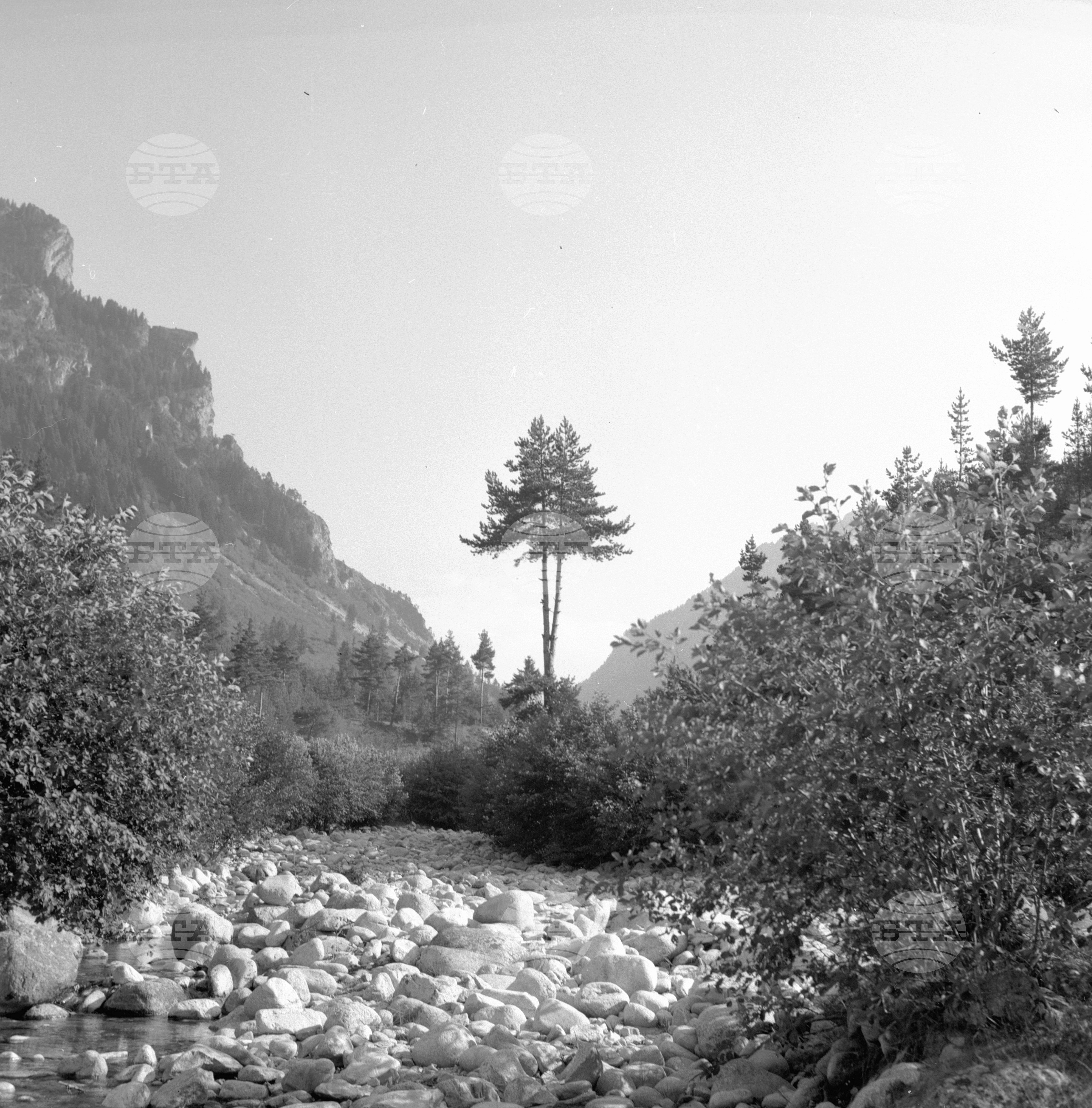 Из Рила планина 1962 година