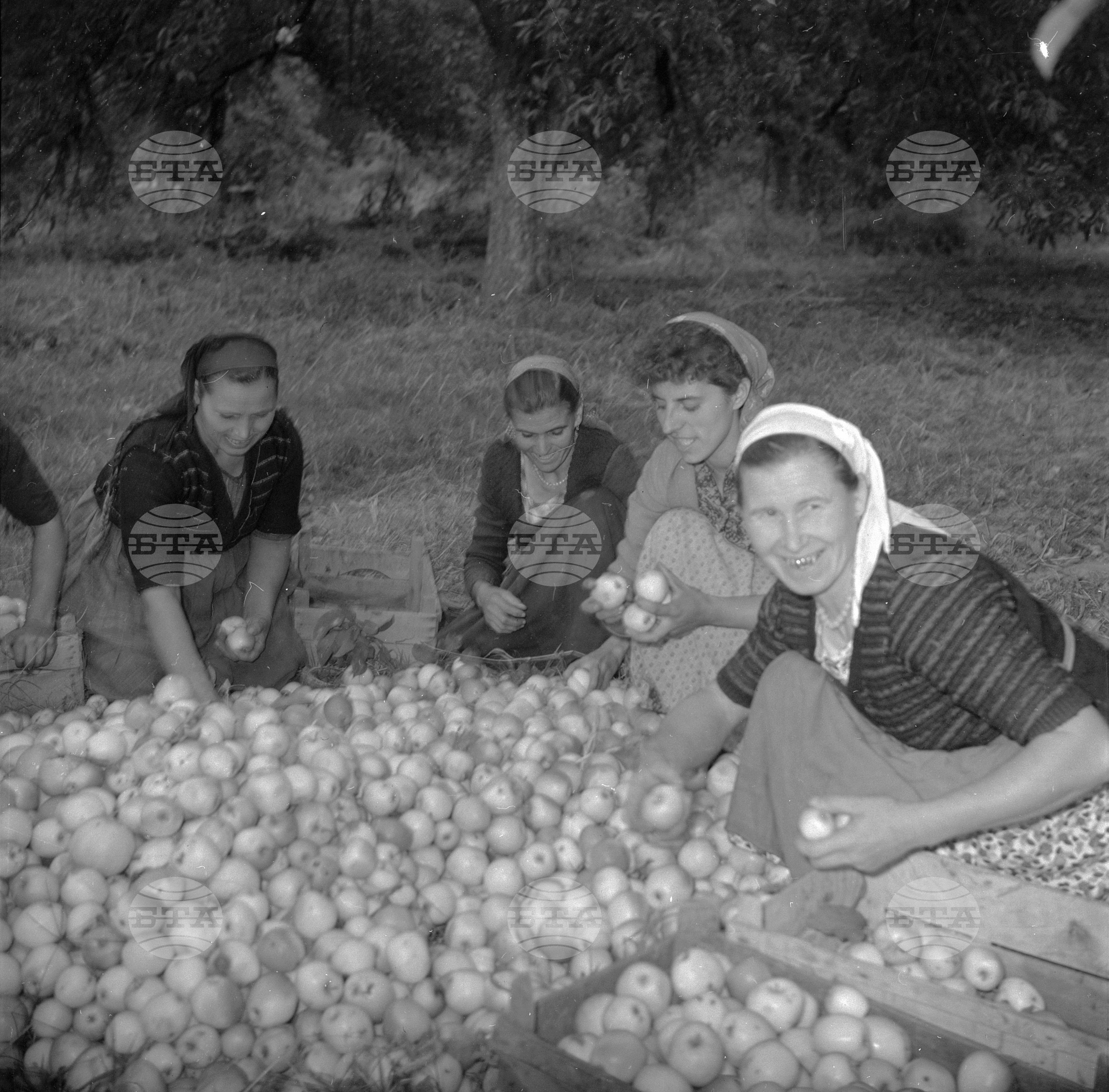 Из Трудовото кооперативно земеделско стопанство (ТКЗС) село Ягодово - Пловдивски окръг