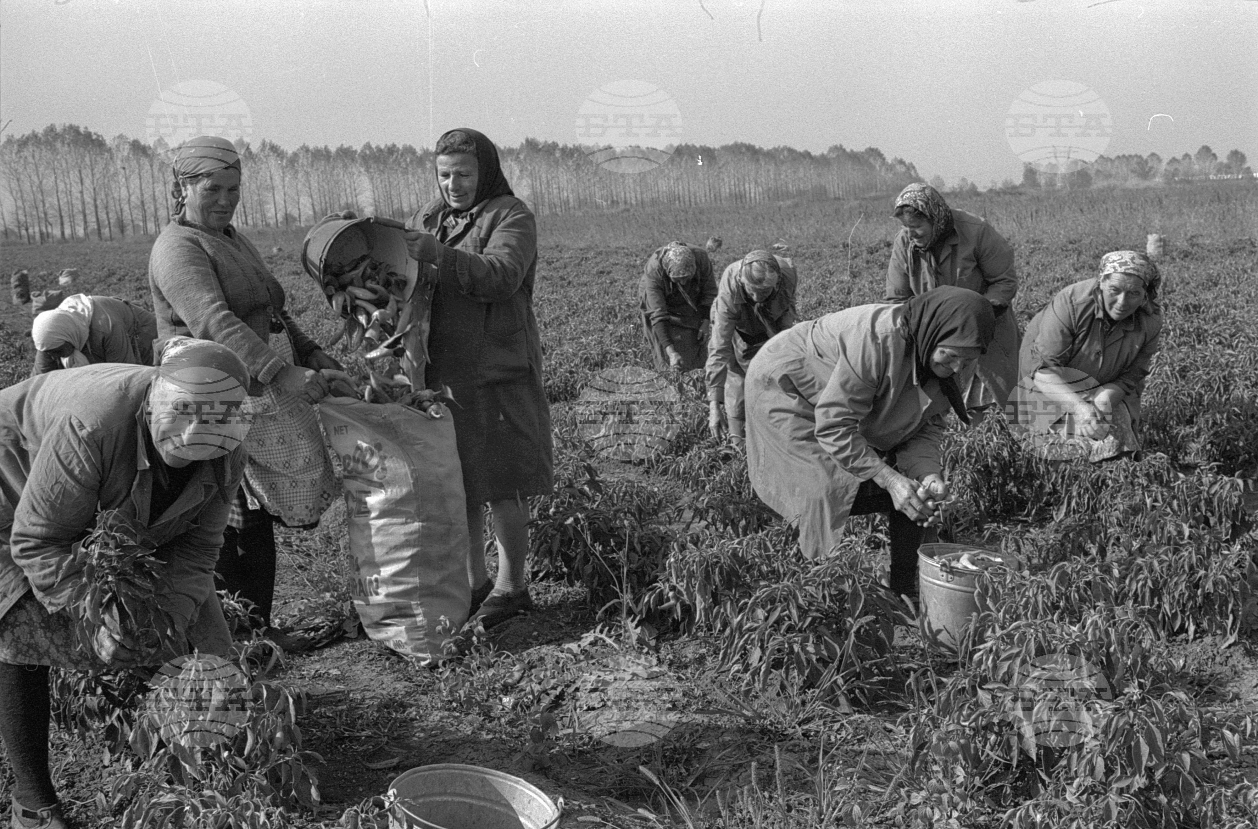 Аграрно-промишлен комплекс (АПК) "Средец" - Нови Искър