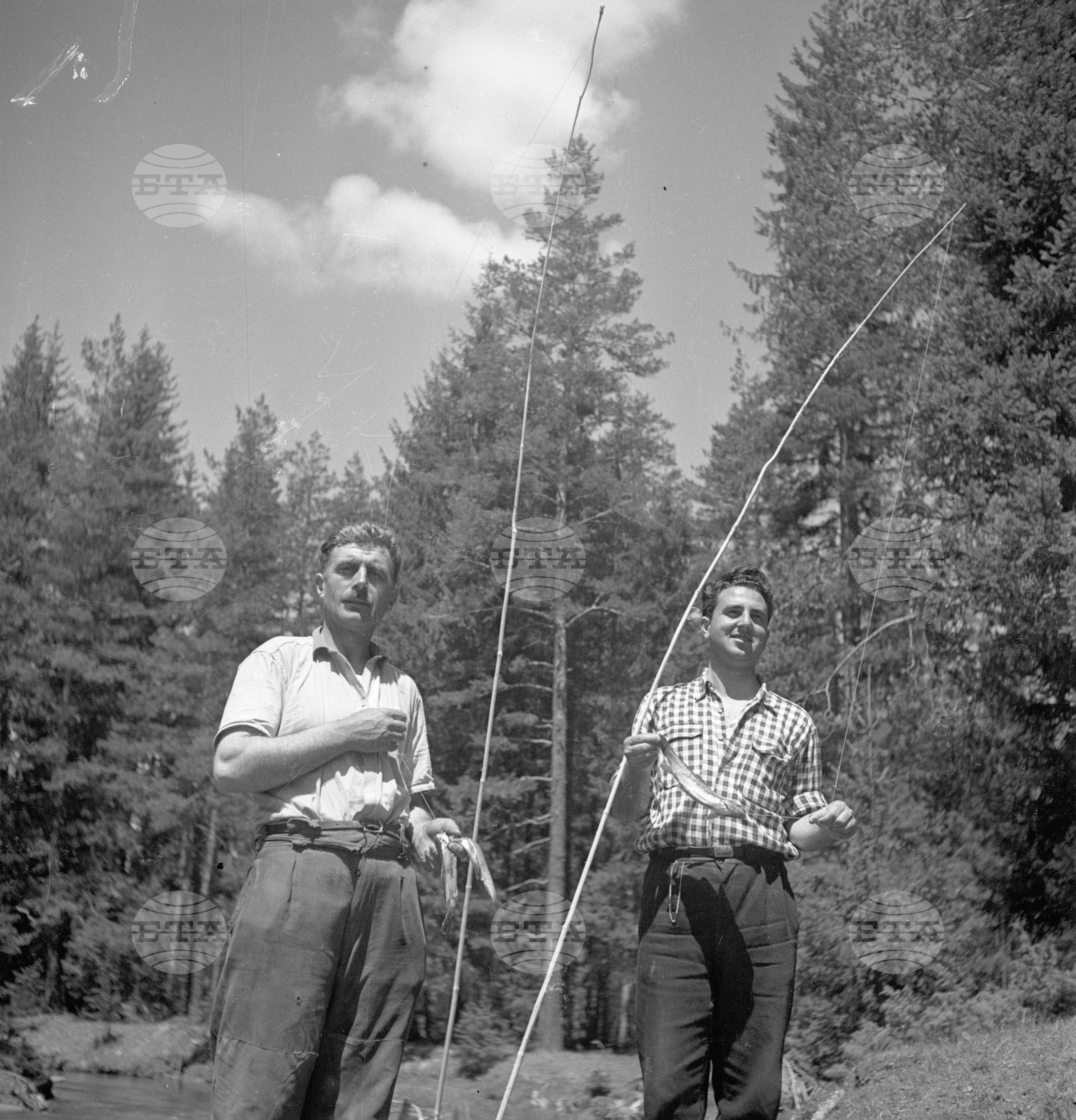 Дърводобив в държавни горски стопанства, 1951 - част 6