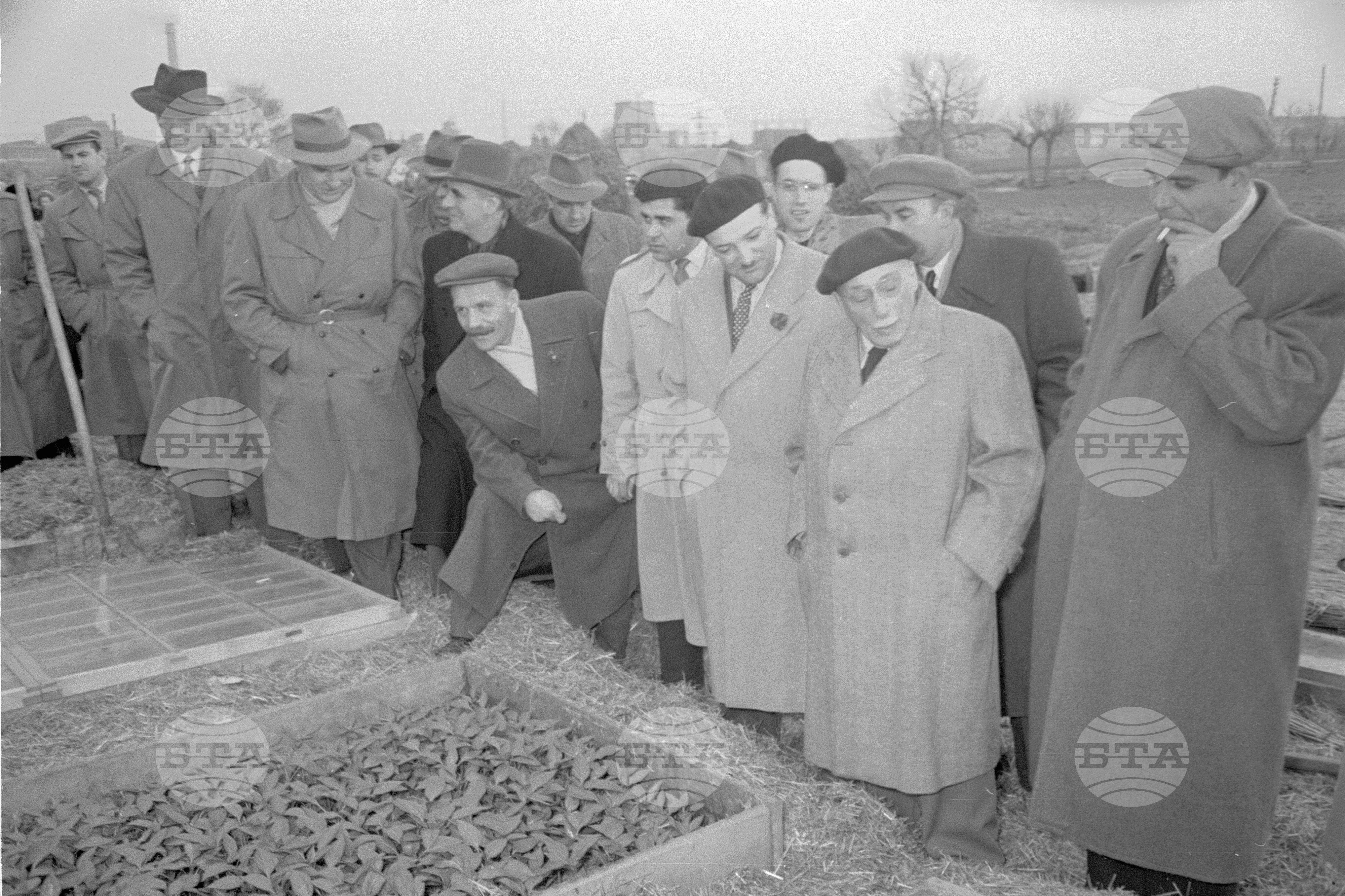 Югославската парламентарна делегация в Димитровград