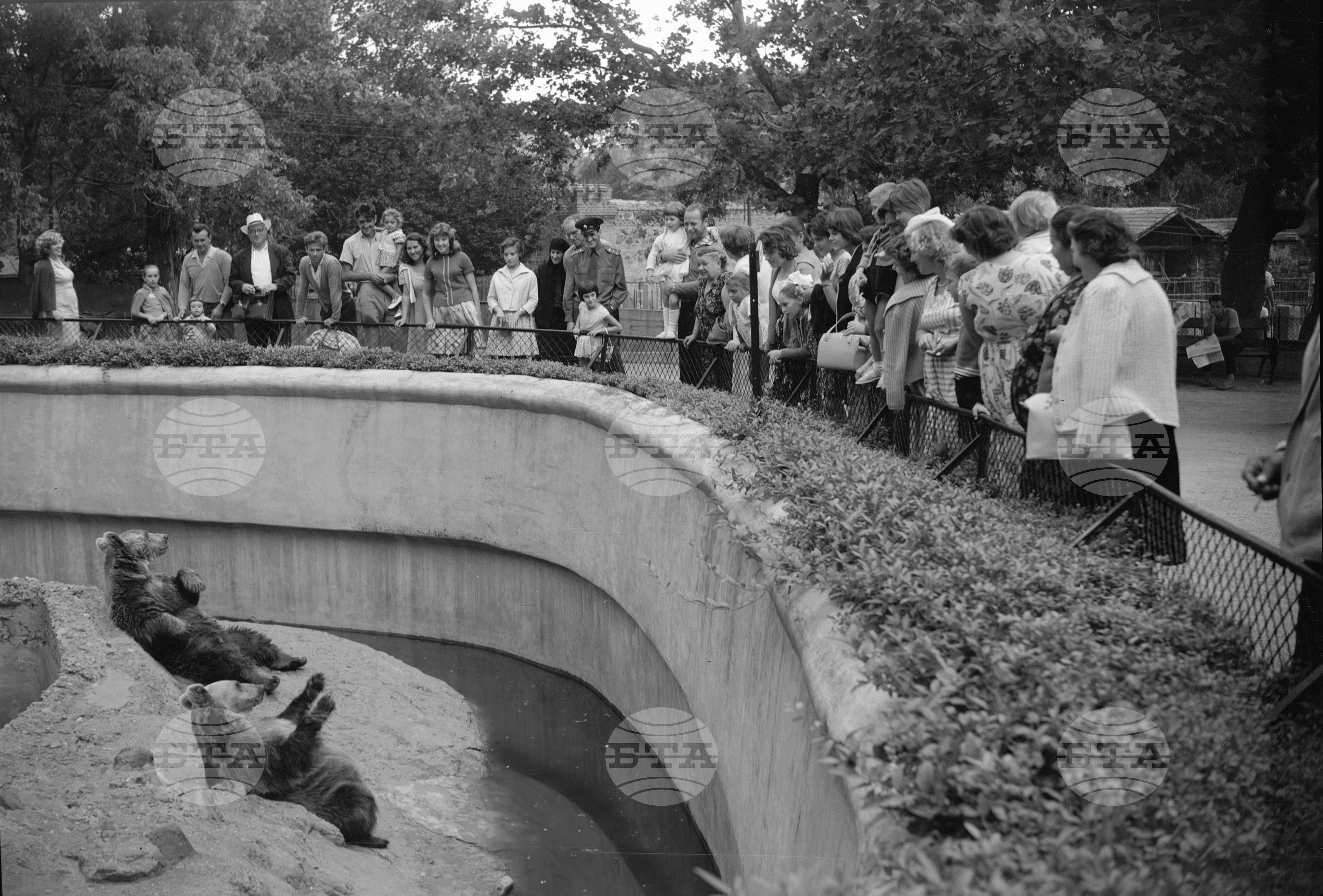 Зоологическа градина София - 1962 година