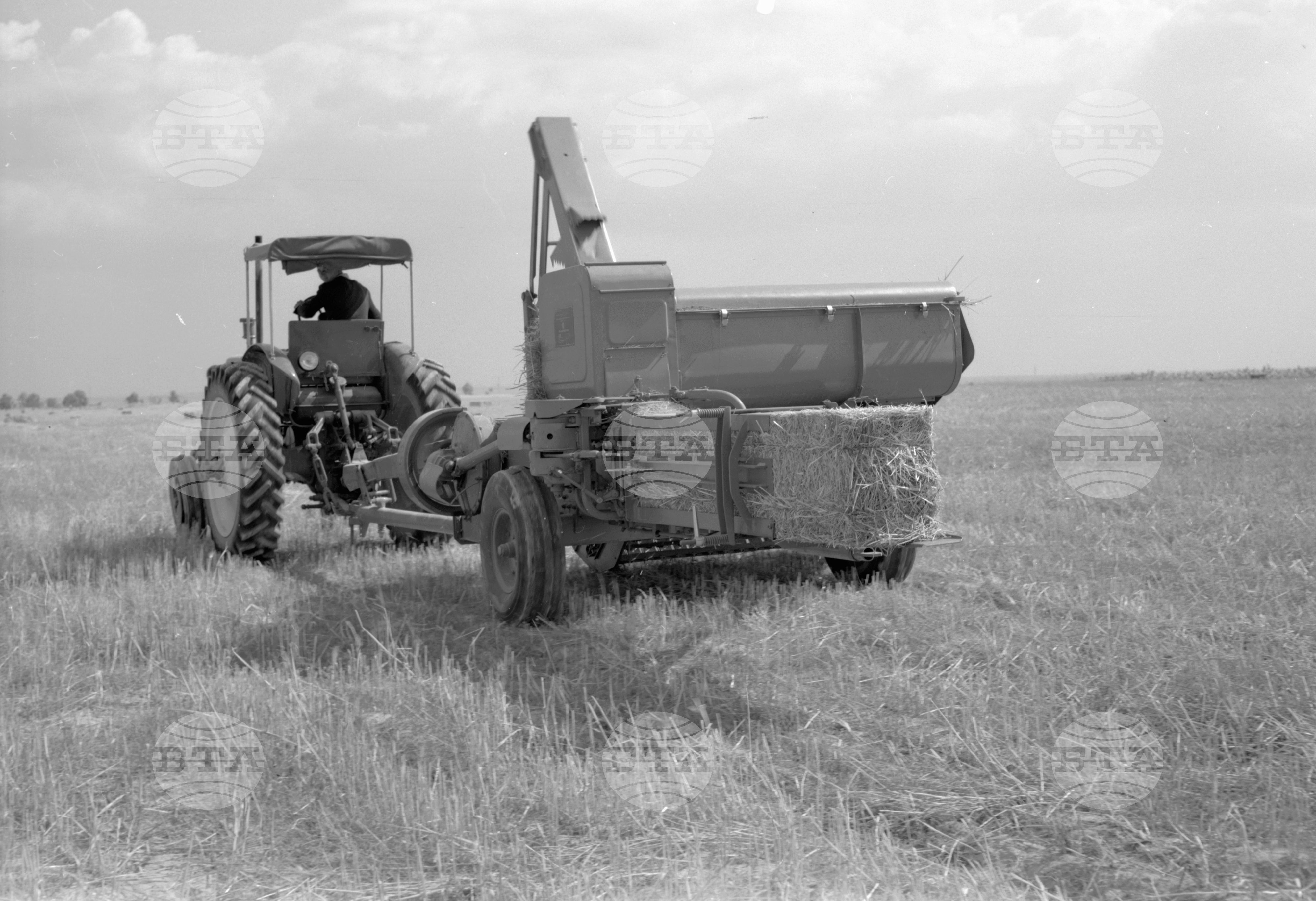Из Пловдивски окръг - 1963