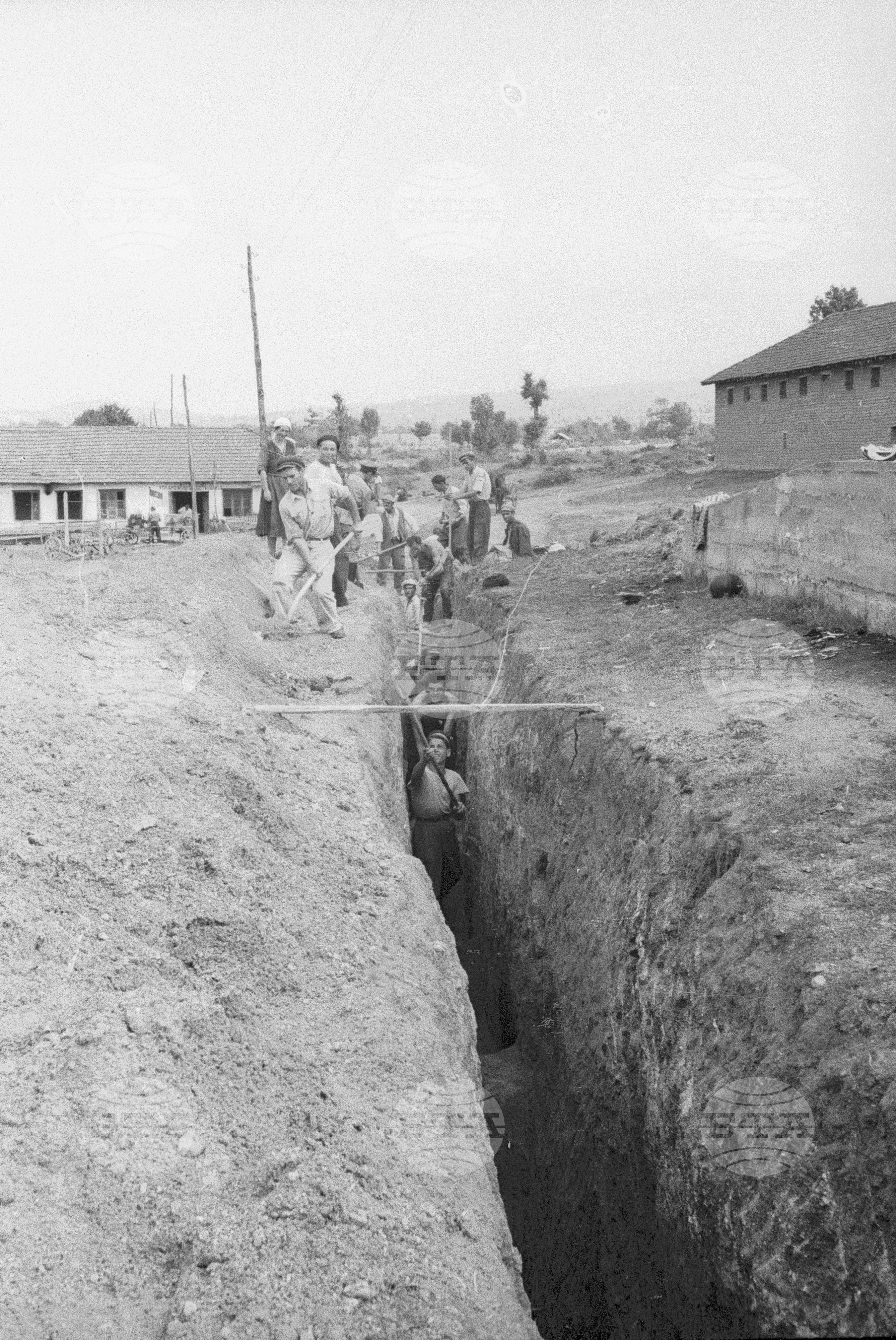 Трудово кооперативно земеделско сдружение (ТКЗС) Сухозем, 1951