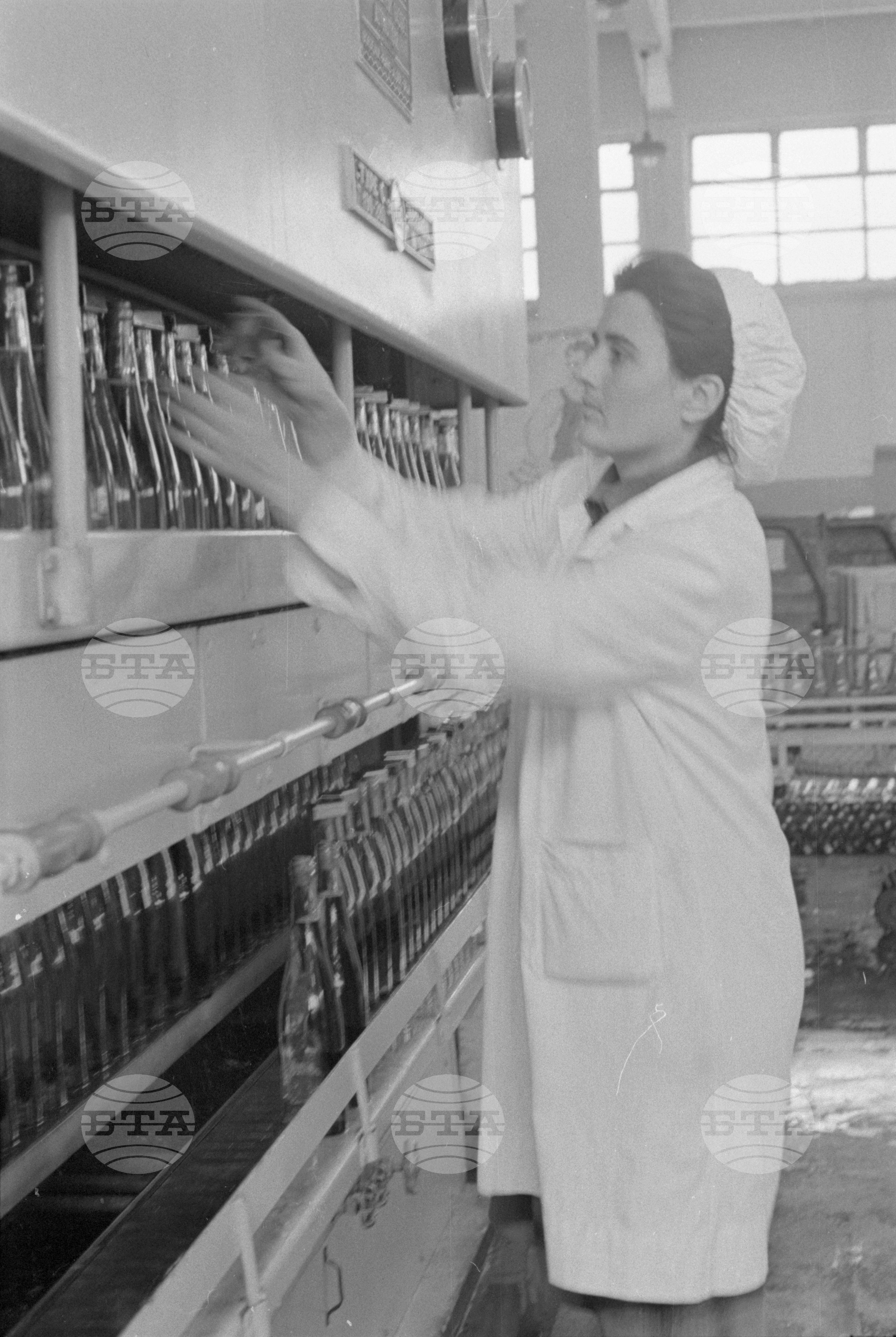 В завода за преработване и стабилизиране на вината край София-част 2