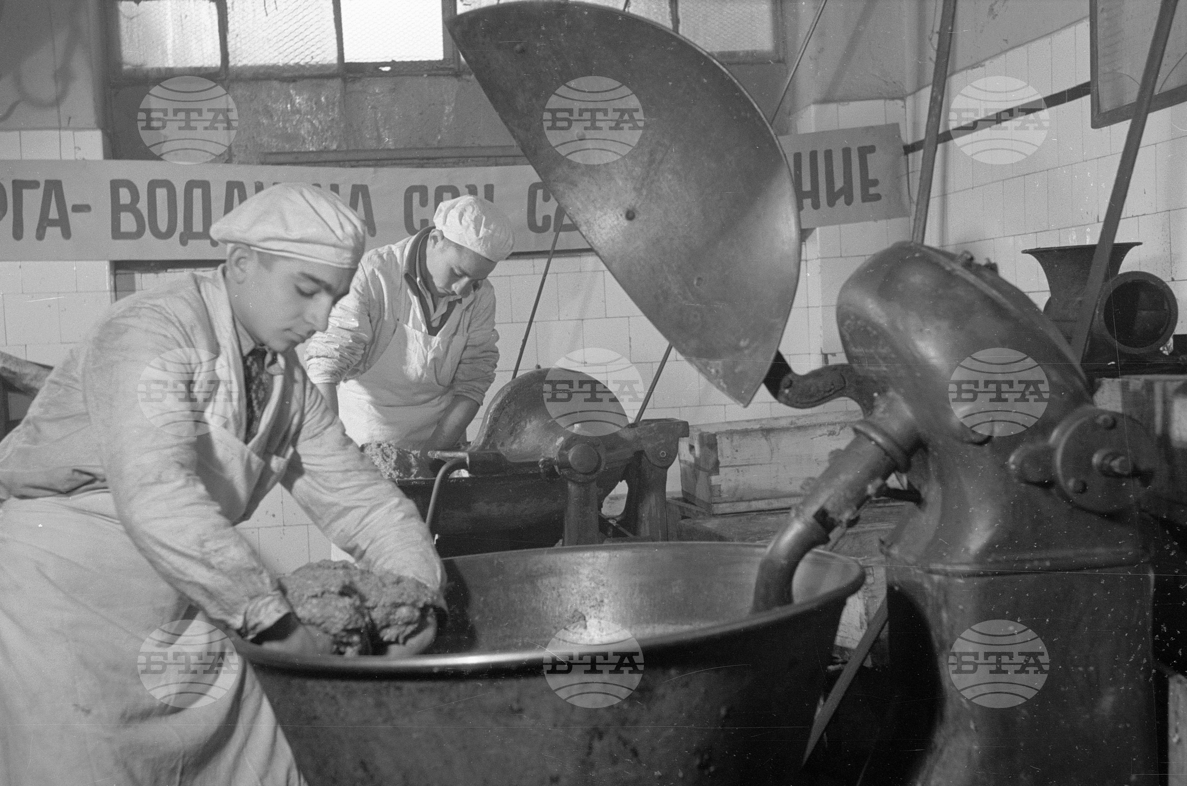 Техникум по месопреработване в София - 1953 година