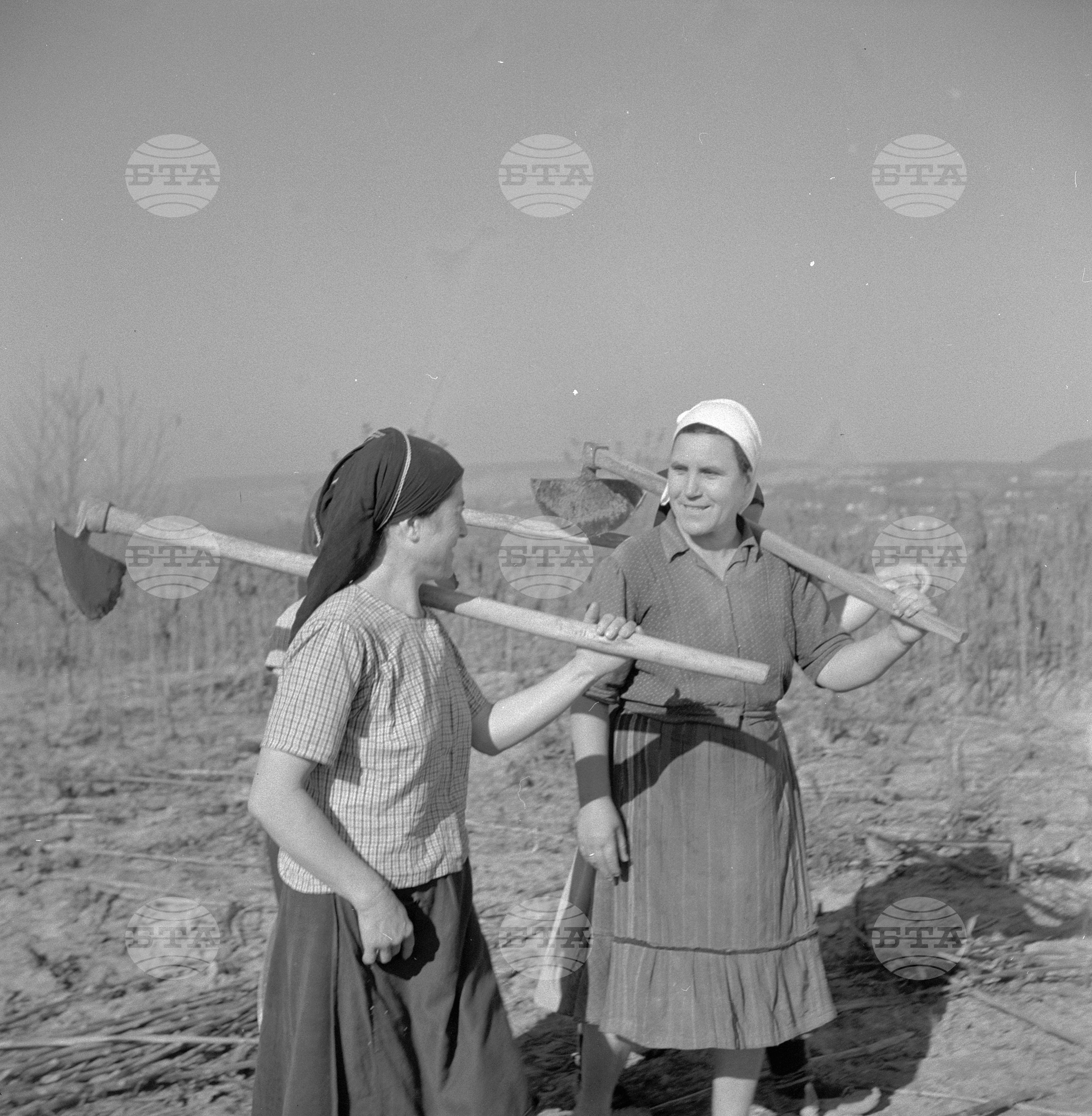 Село Дългопол - Коларовградско (днес Шумен) - Из живота на кооператорката Михна Тодорова Драгиева