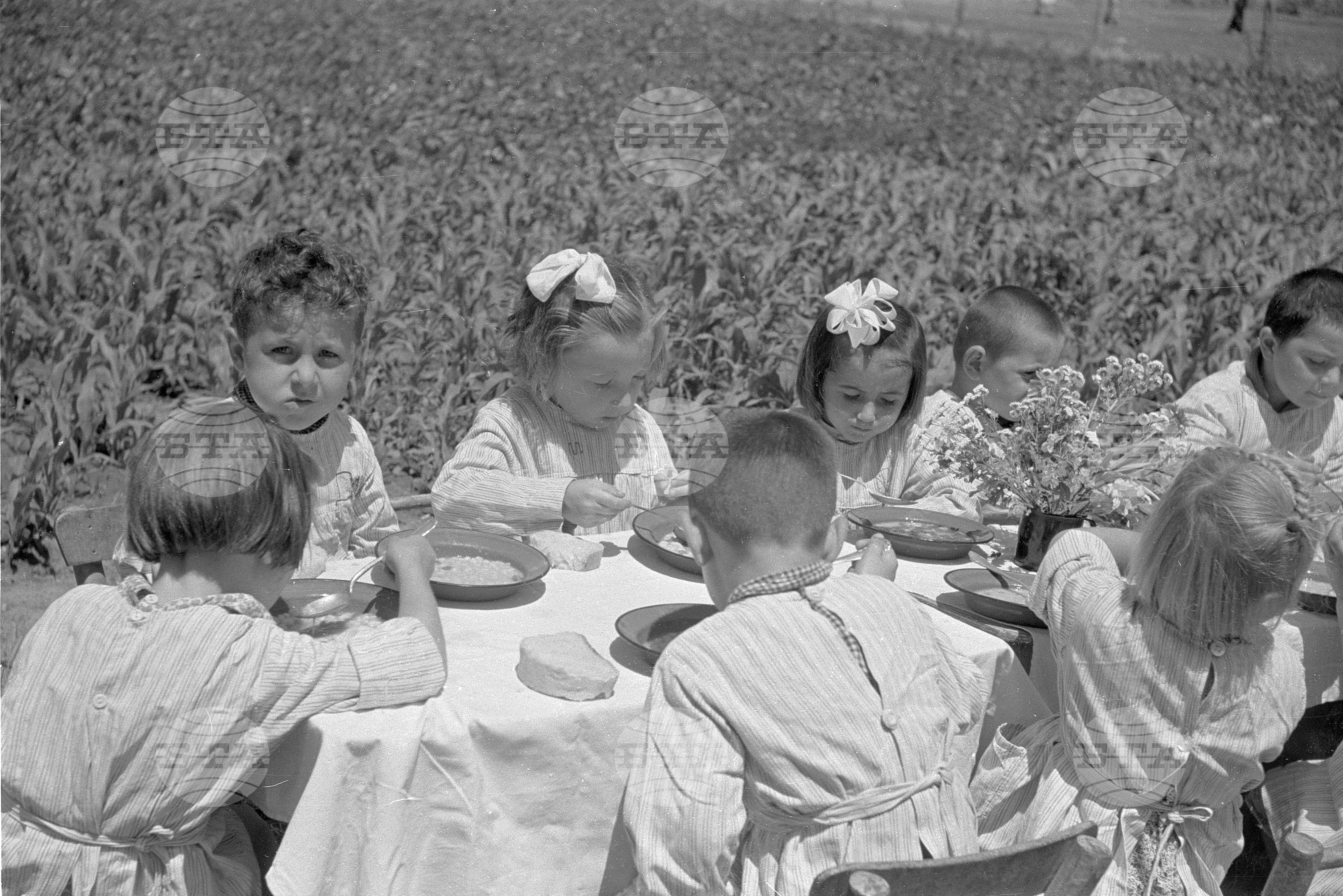 Дневен детски дом №3 за децата на кооператорите от Трудово Кооперативно Земеделско Стопанство с. Койнаре
