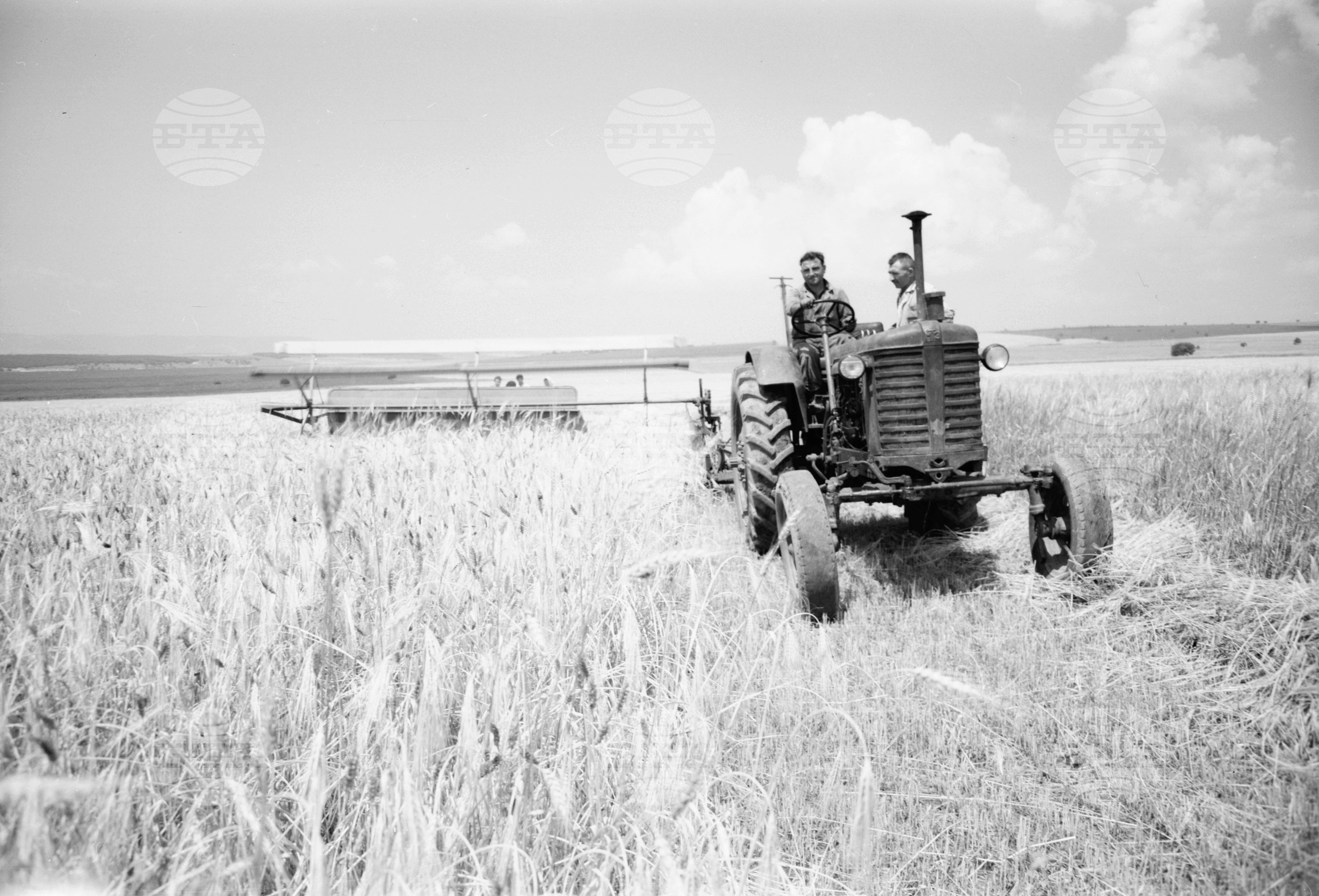 Из Търговищки окръг 1963 годишна