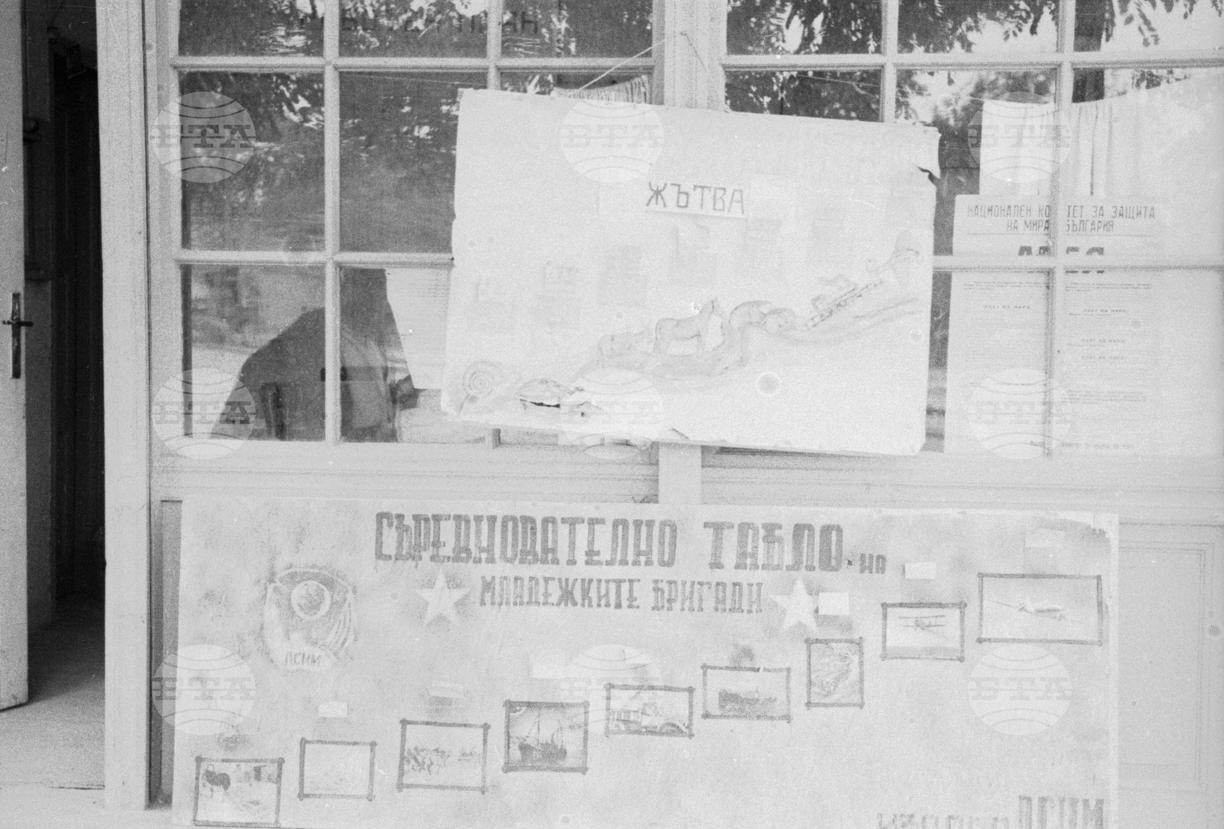 Жътва в ТКЗС "Крумово", Пловдивско, 1951