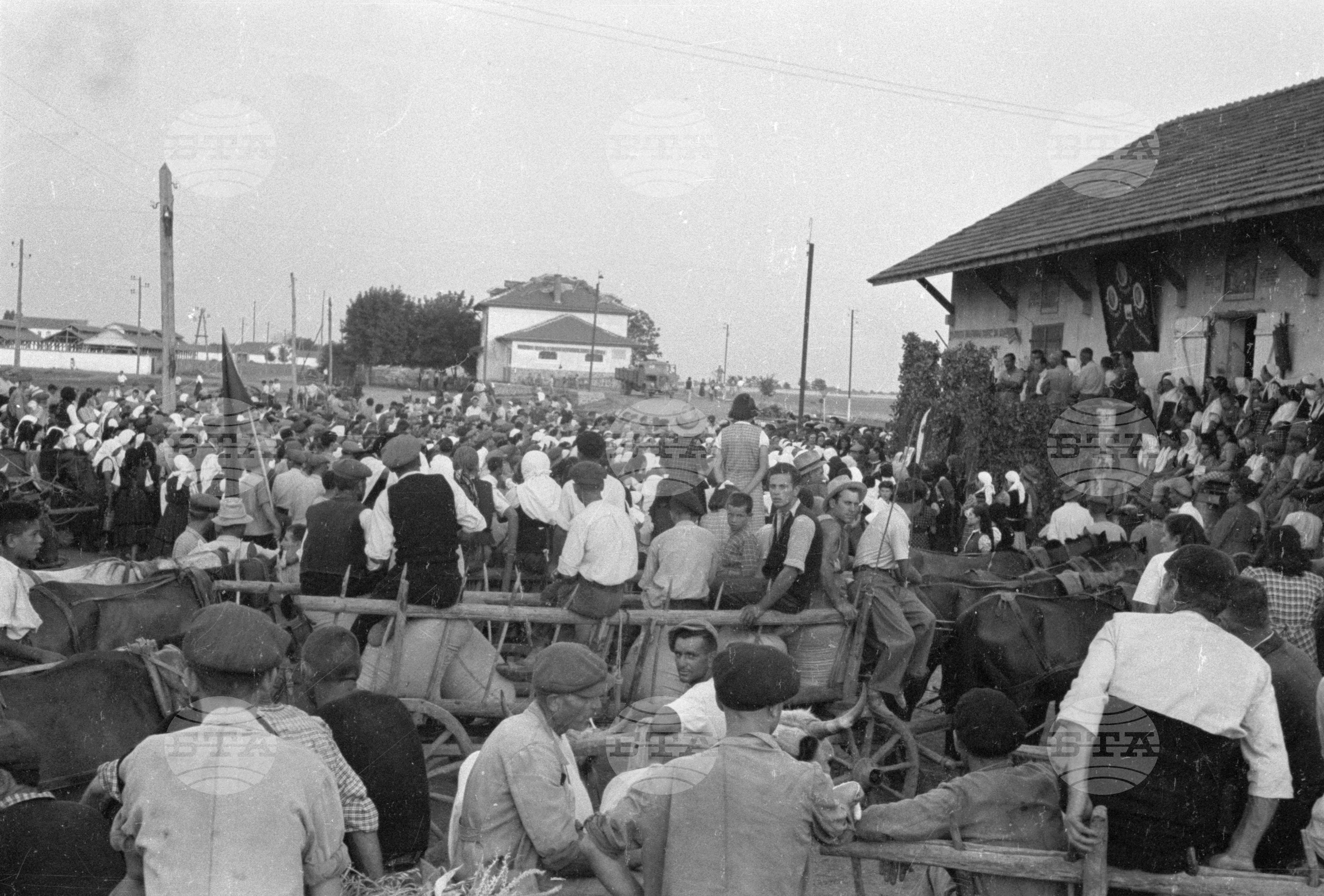 Предаване на зърнодоставки в Голямо Конаре (днес град Съединение), 1951
