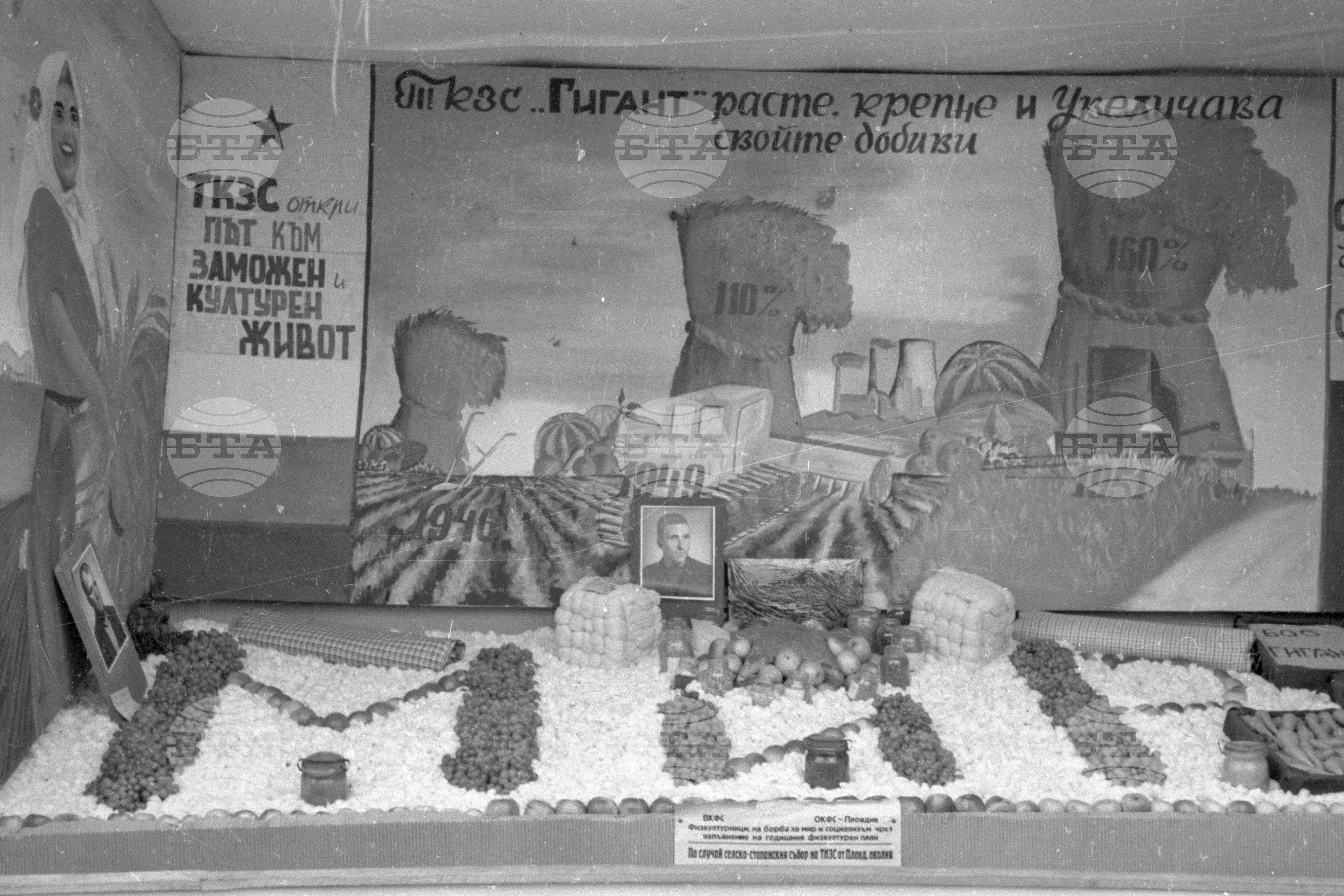 Селскостопанска изложба в Левскиград (дн. Карлово), 1951
