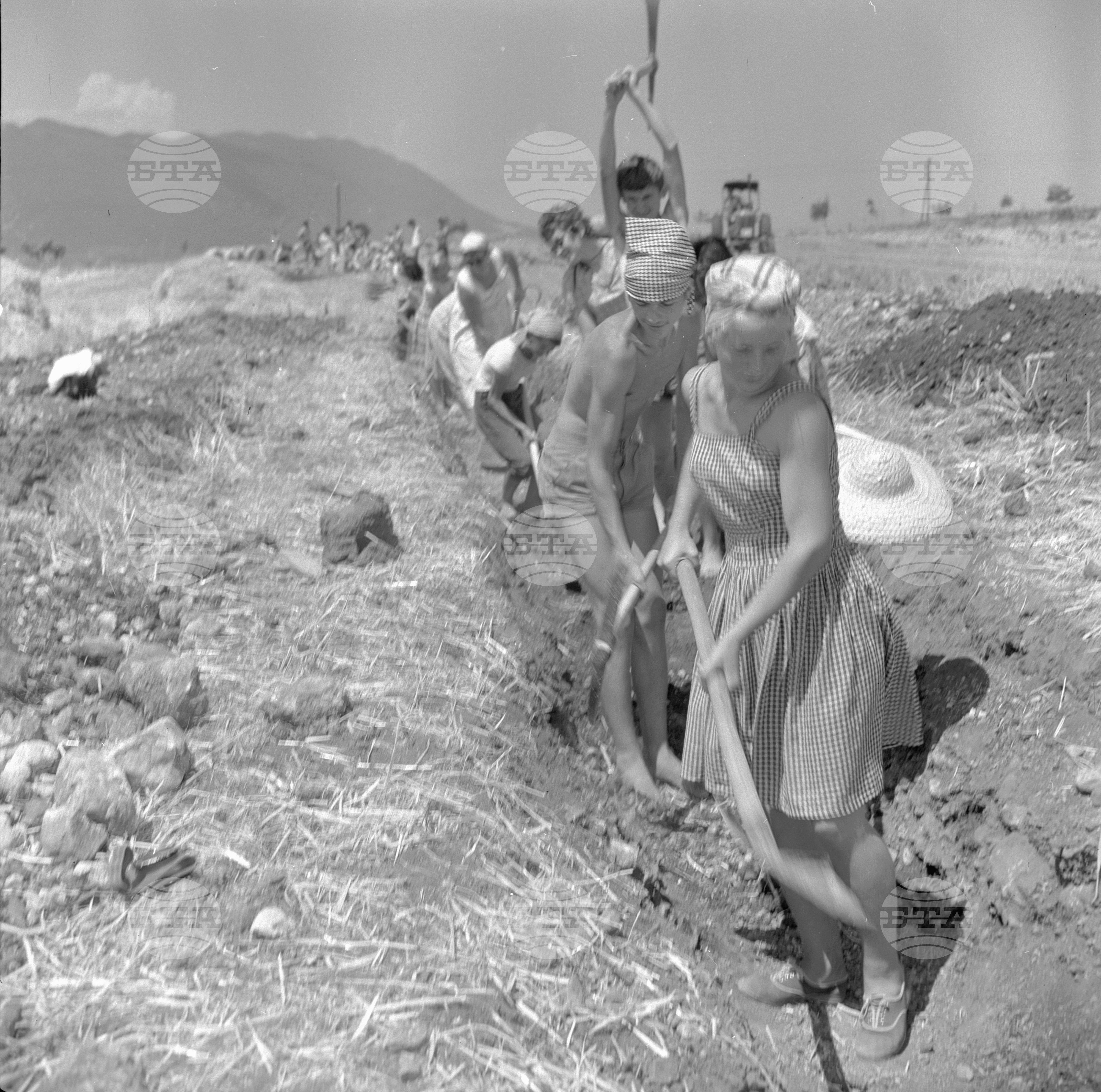 По комсомолско поръчение - 1963