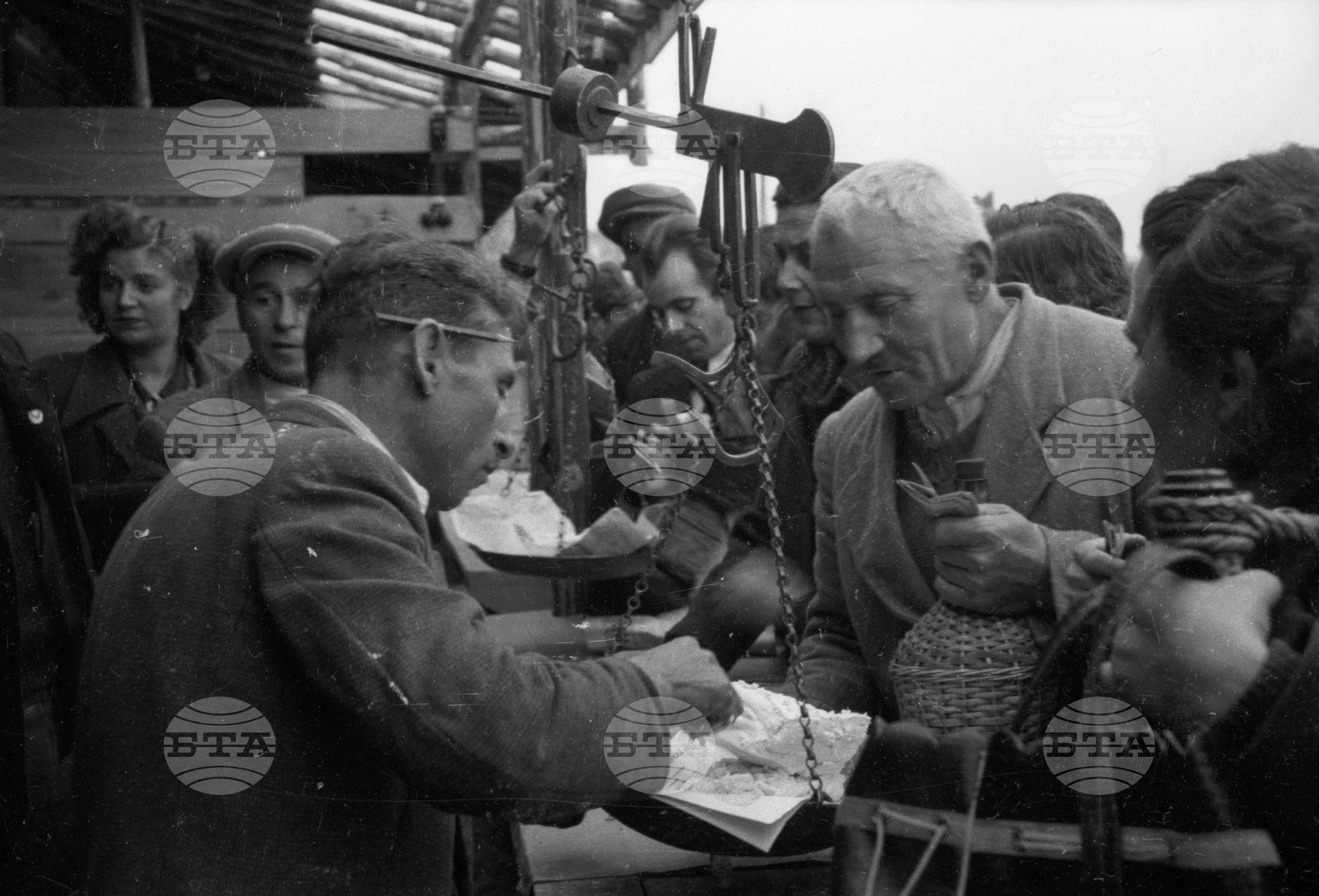 Селскостопанска изложба в Левскиград (дн. Карлово), 1951