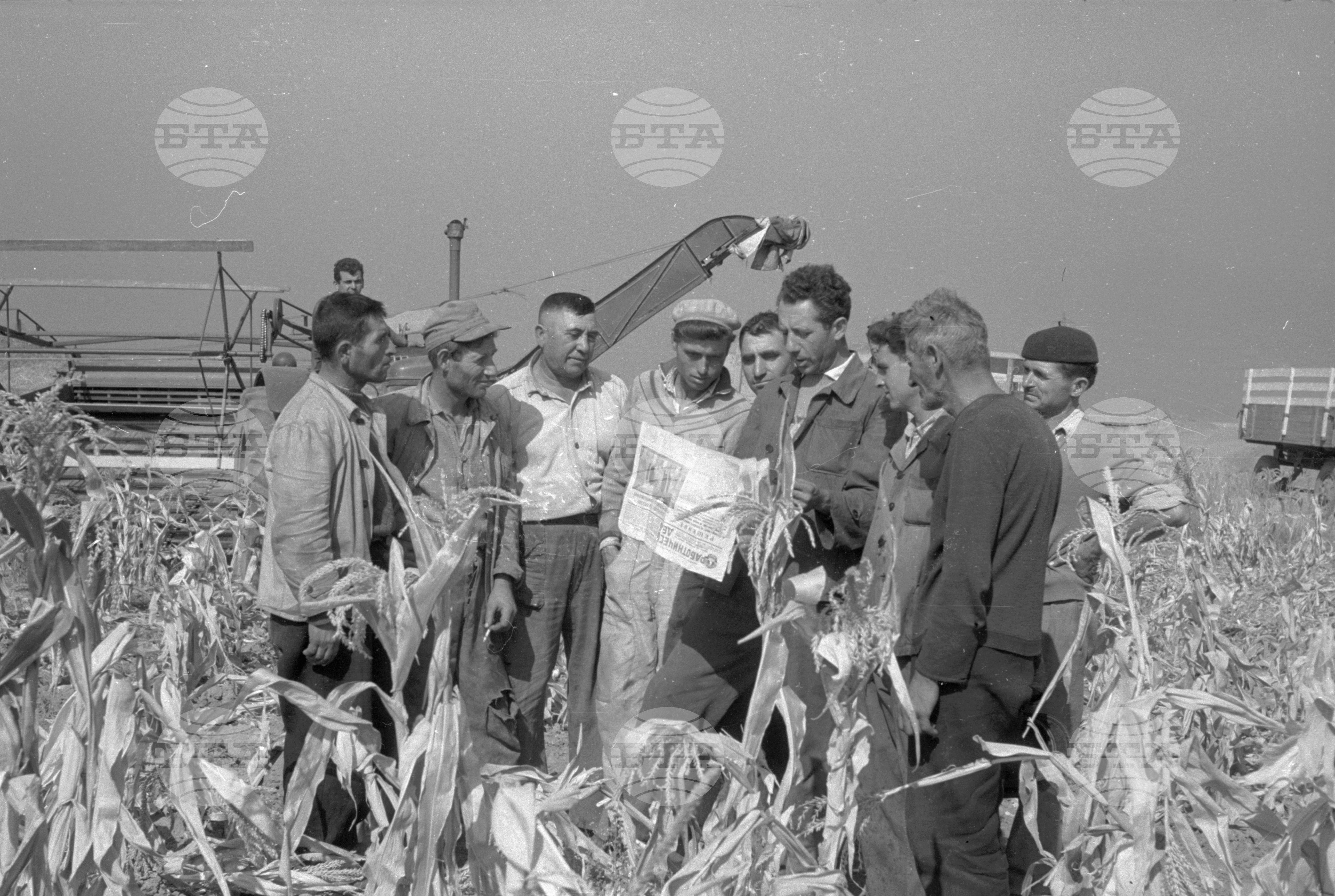 ТКЗС (Трудово кооперативно земеделско стопанство) в Елин Пелин