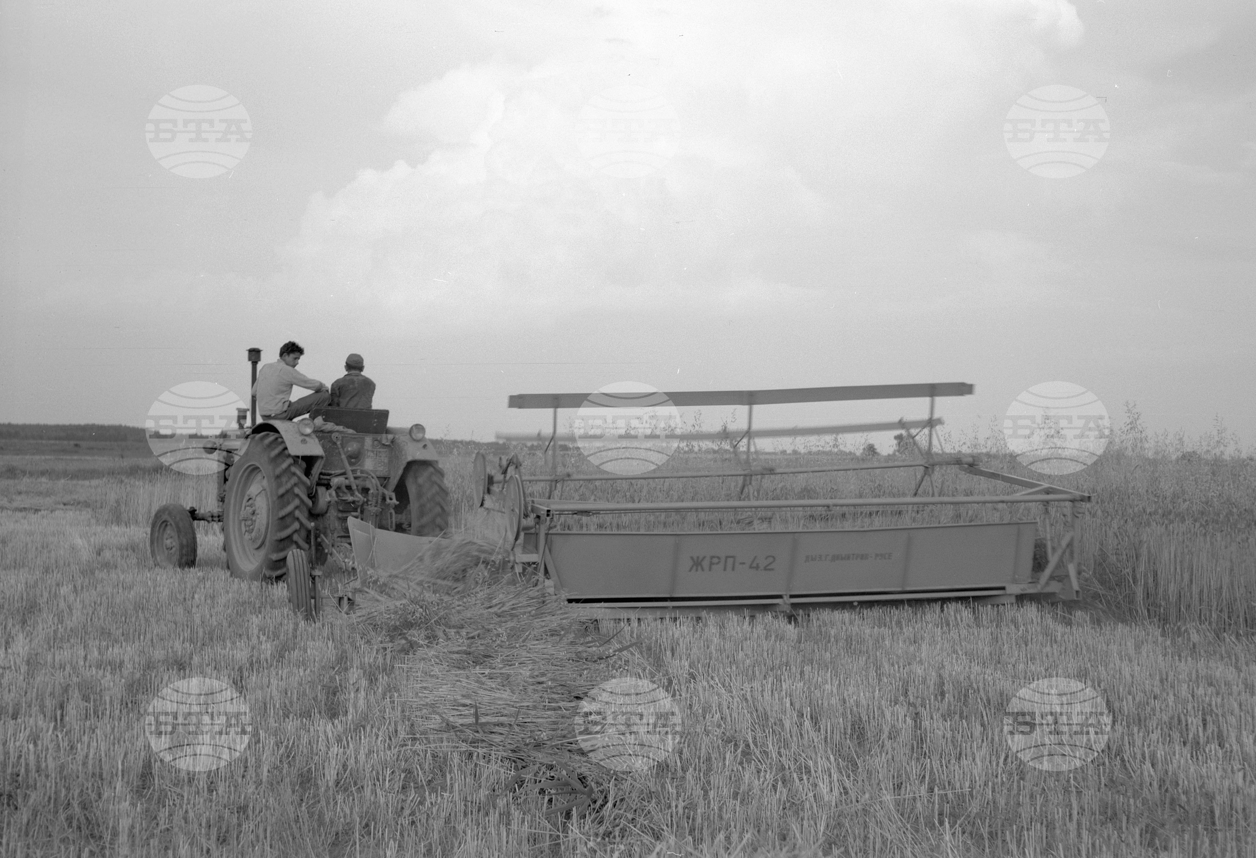 Жътва на пшеница - 1963