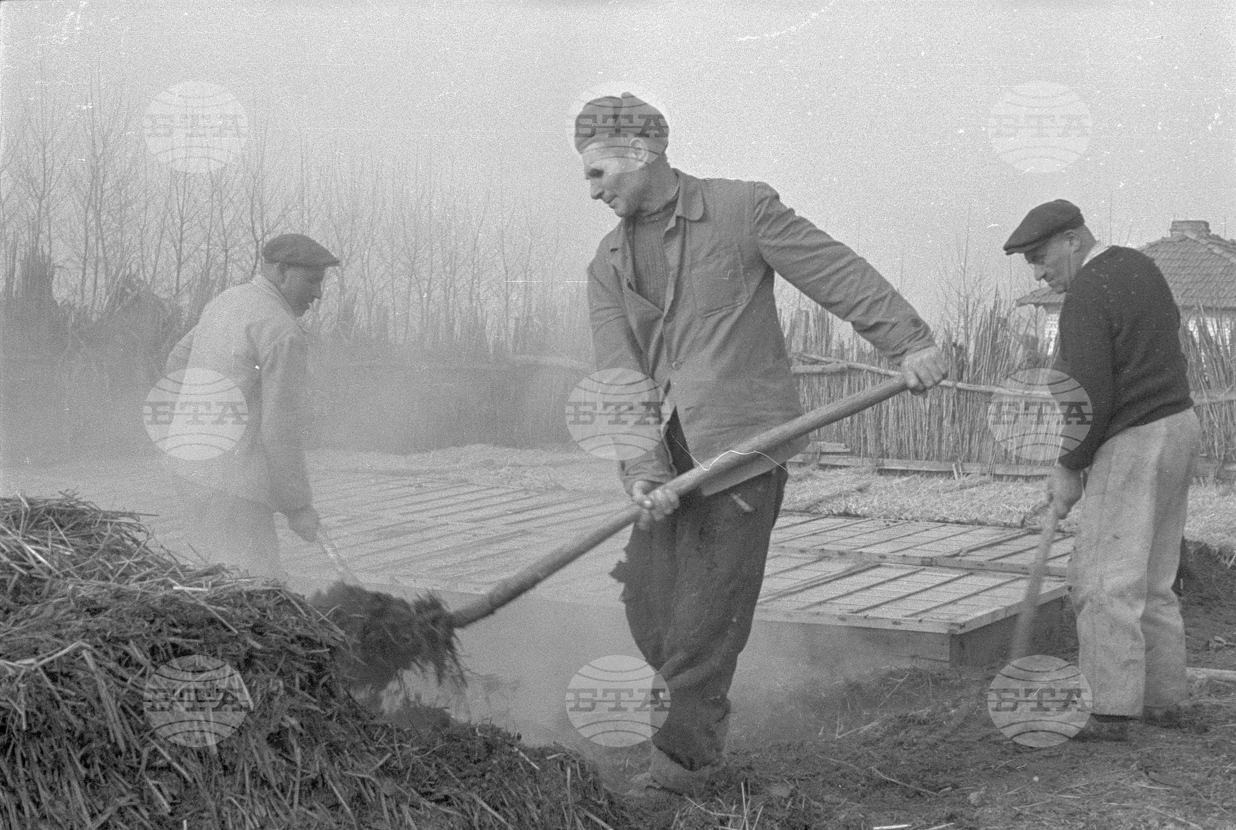 Трудово кооперативното земеделско стопанство (ТКЗС) - Софийска област
