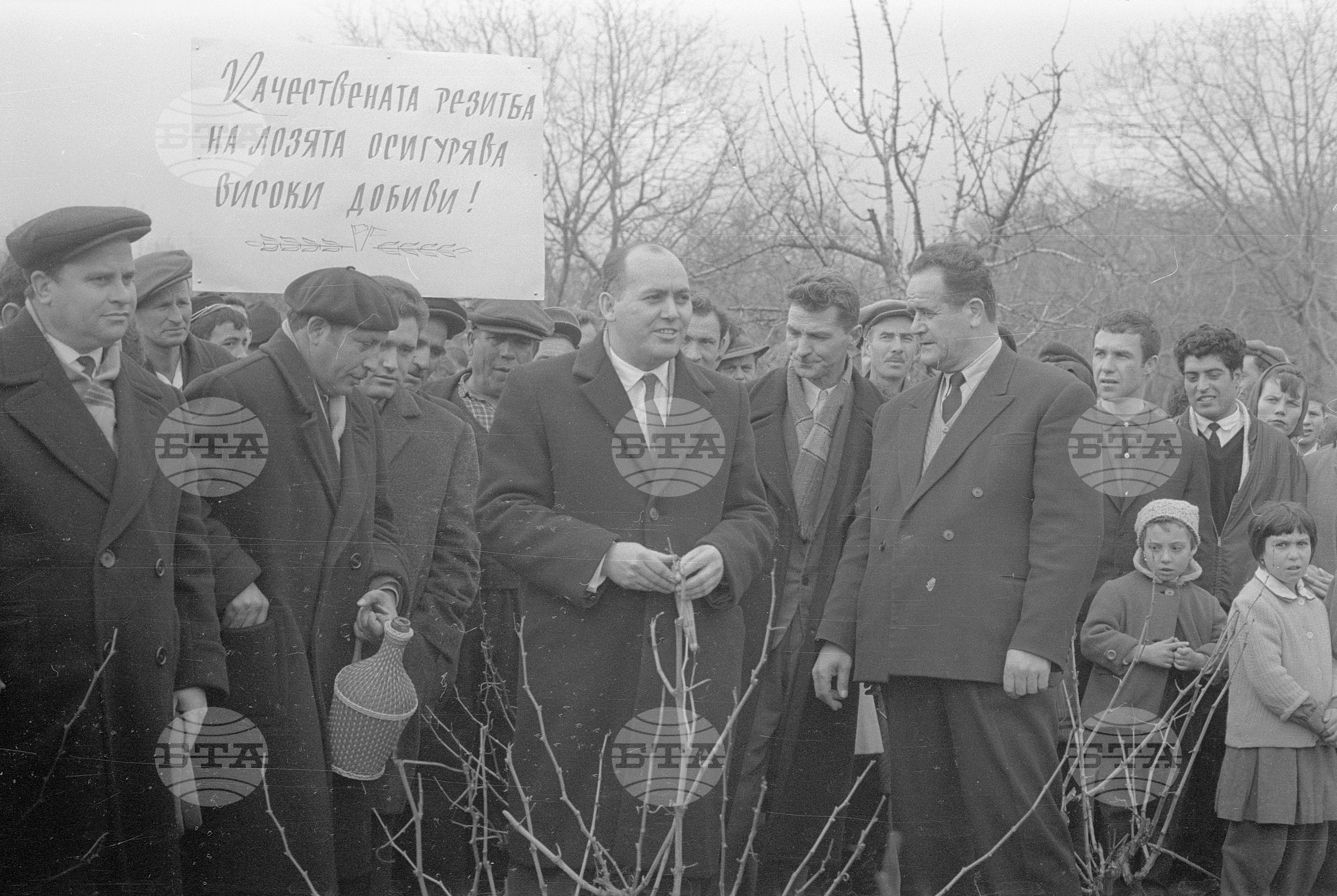 Деня на лозаря в село Сунгурларе