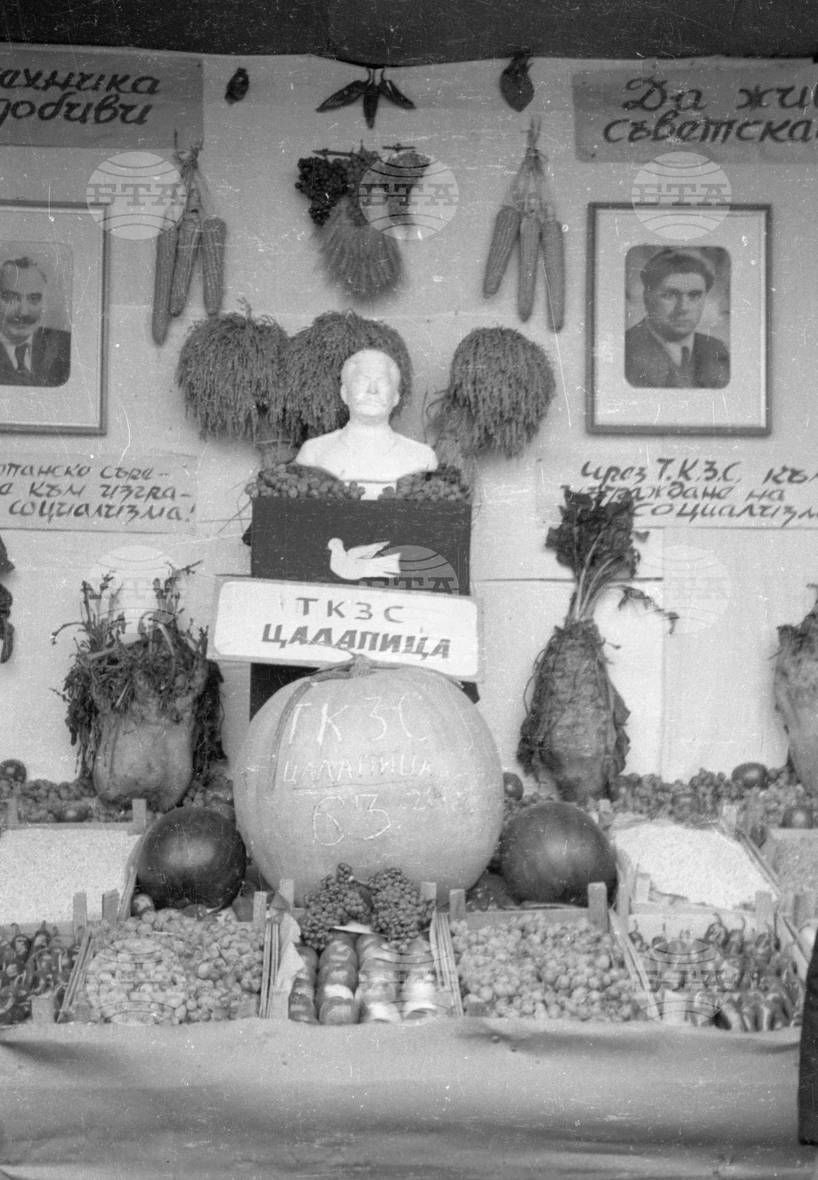 Селскостопанска изложба в Левскиград (дн. Карлово), 1951