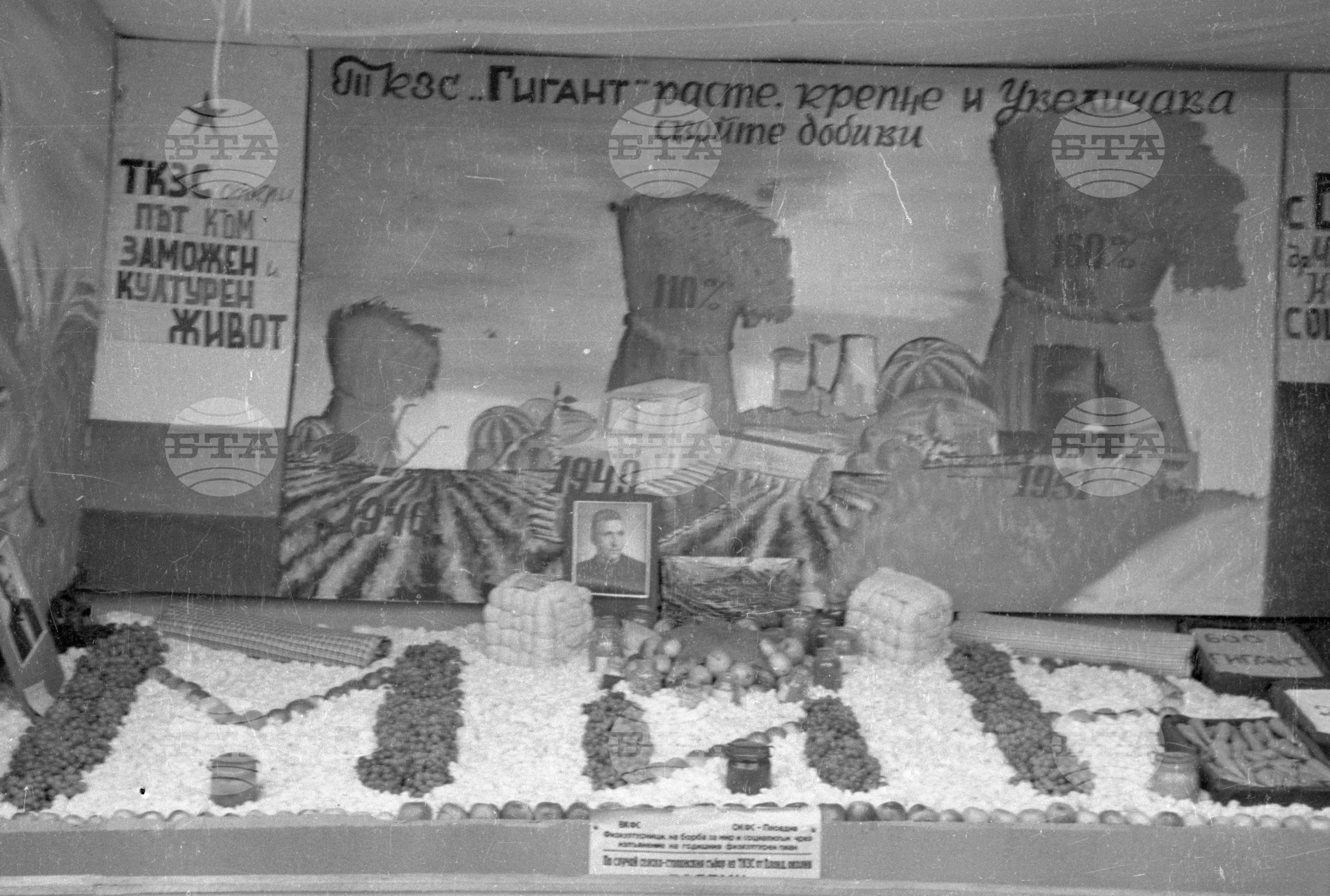 Селскостопанска изложба в Левскиград (дн. Карлово), 1951