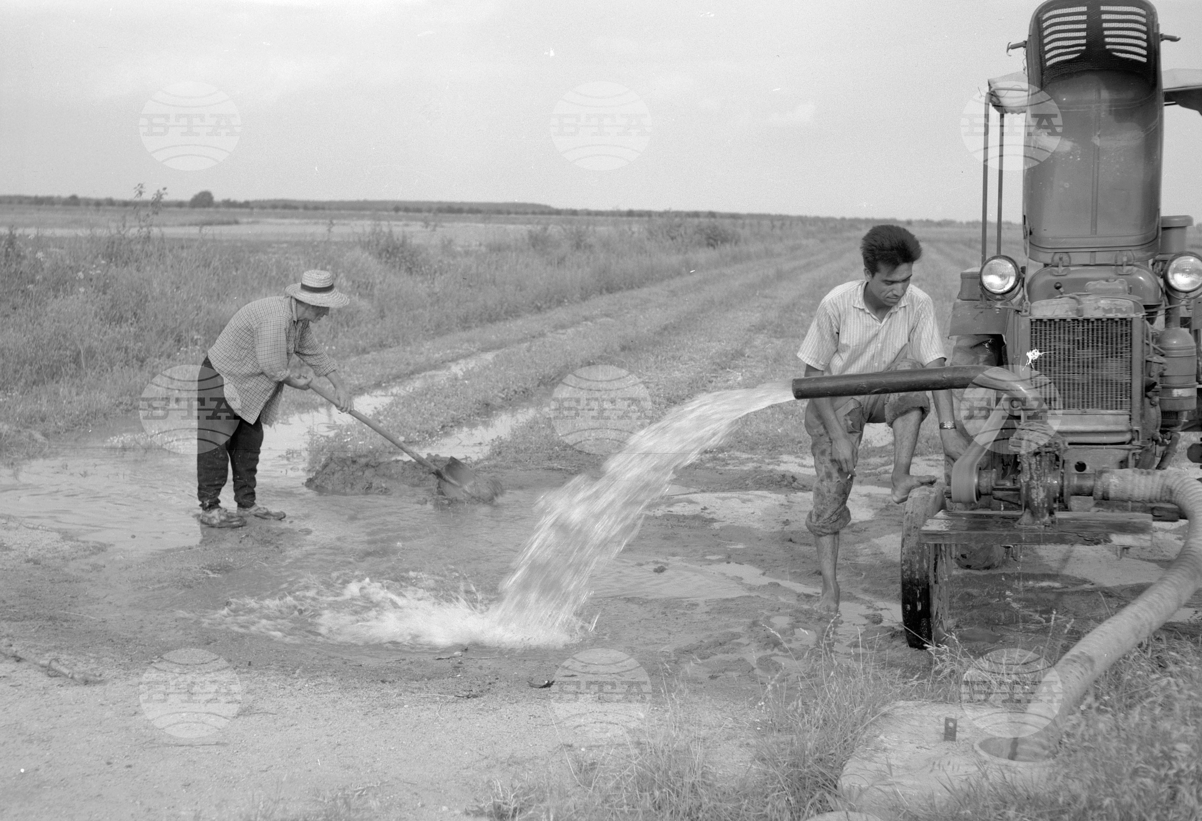 Жътва на пшеница - 1963