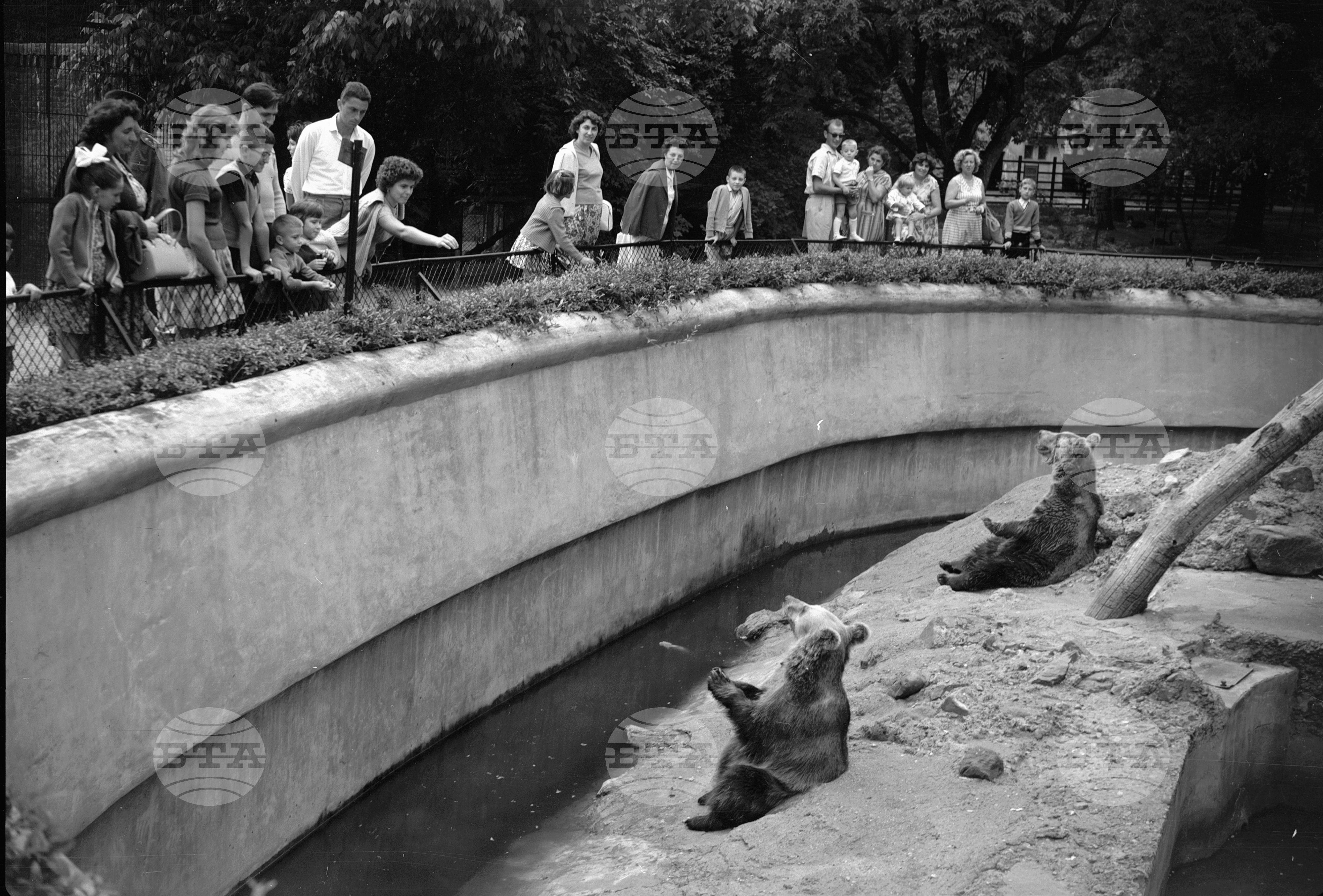 Зоологическа градина София - 1962 година