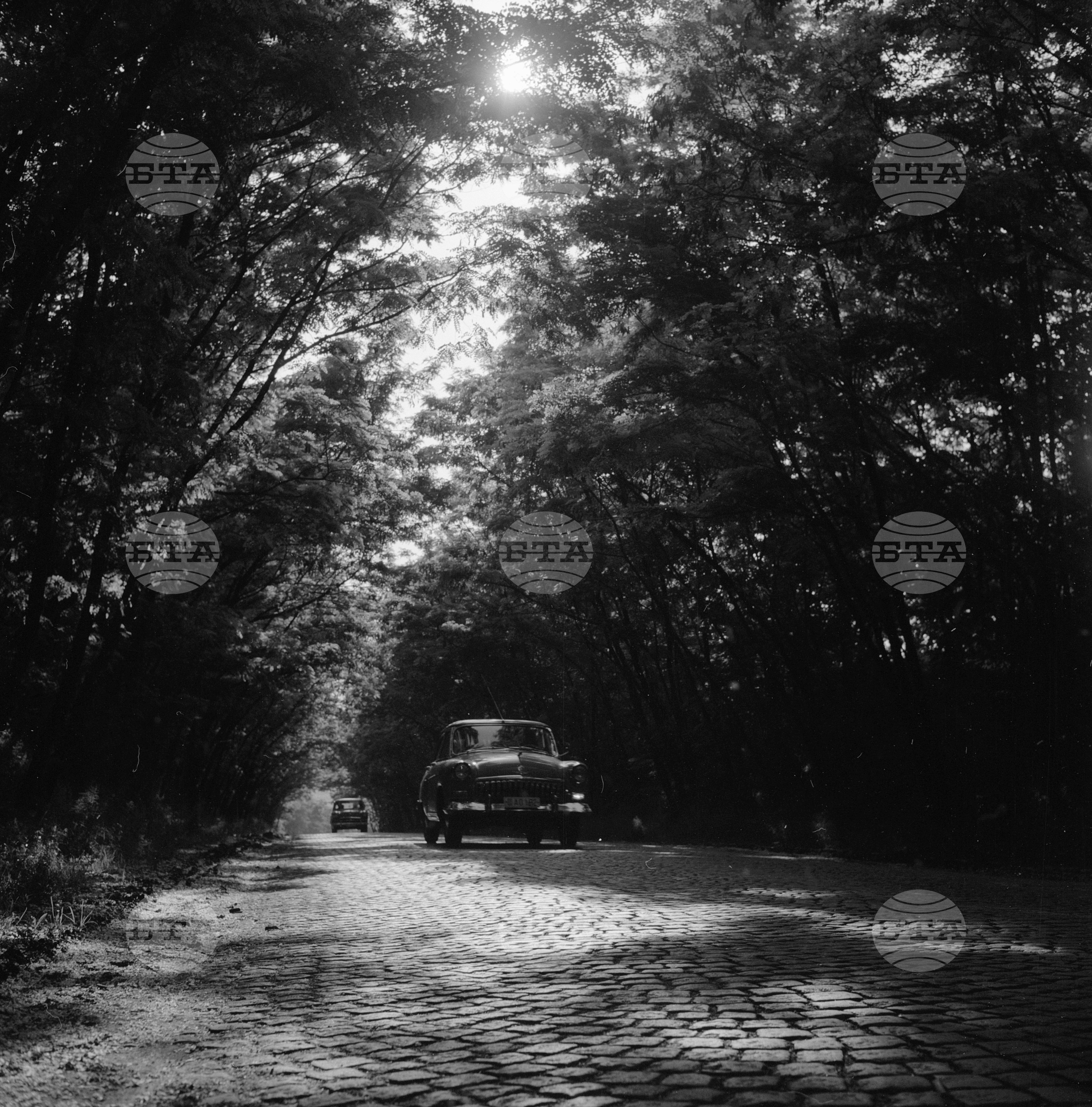 Из Пазарджишки окръг - 1963