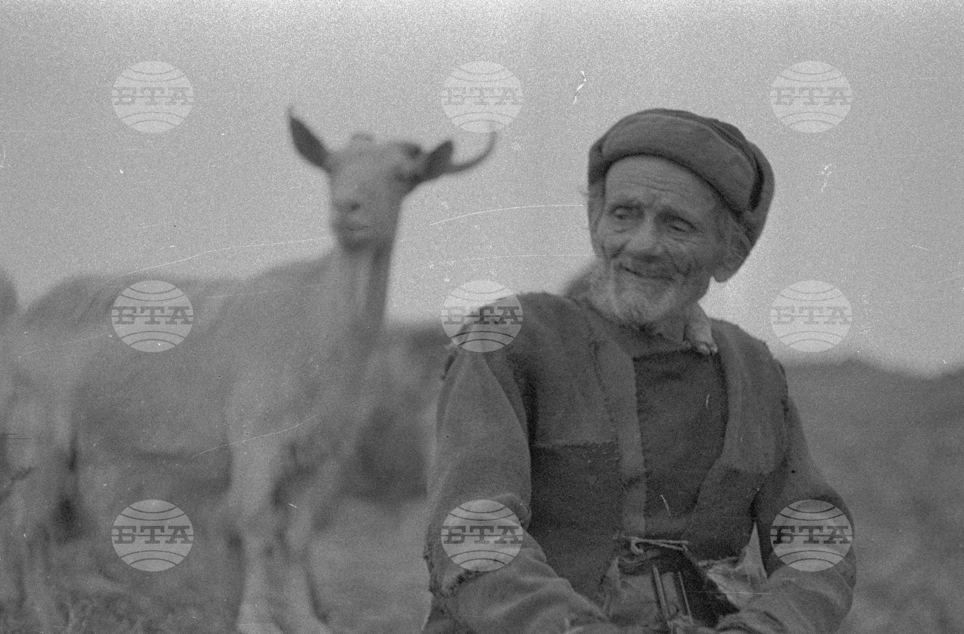 Огражден планина