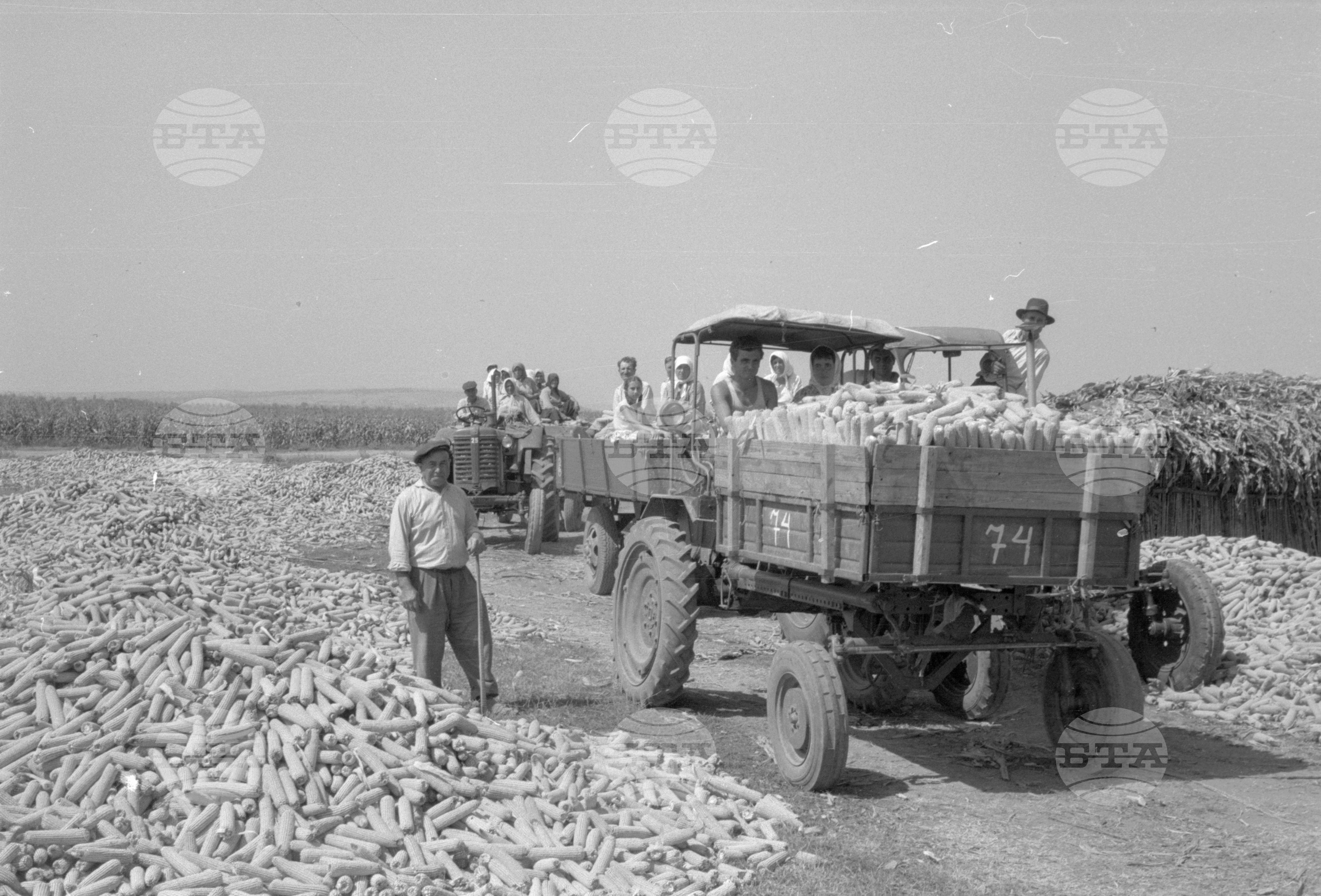 ТКЗС (Трудово кооперативно земеделско стопанство) във Видин - 1963