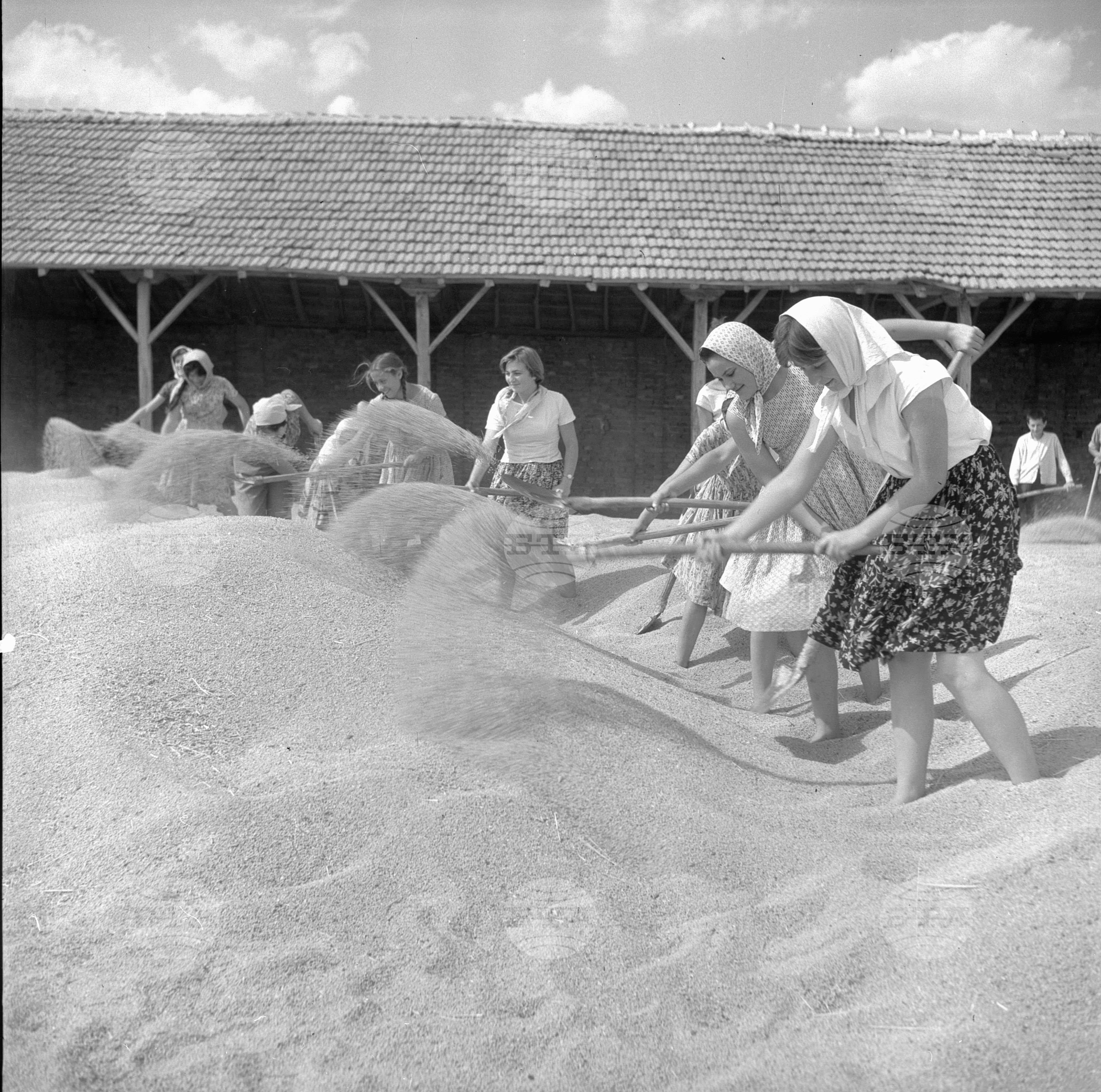 По комсомолско поръчение - 1963